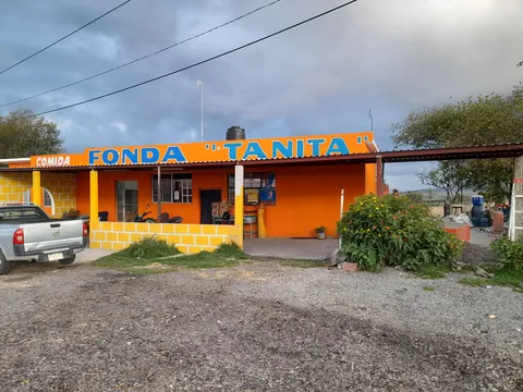 Fonda Tanita image 1