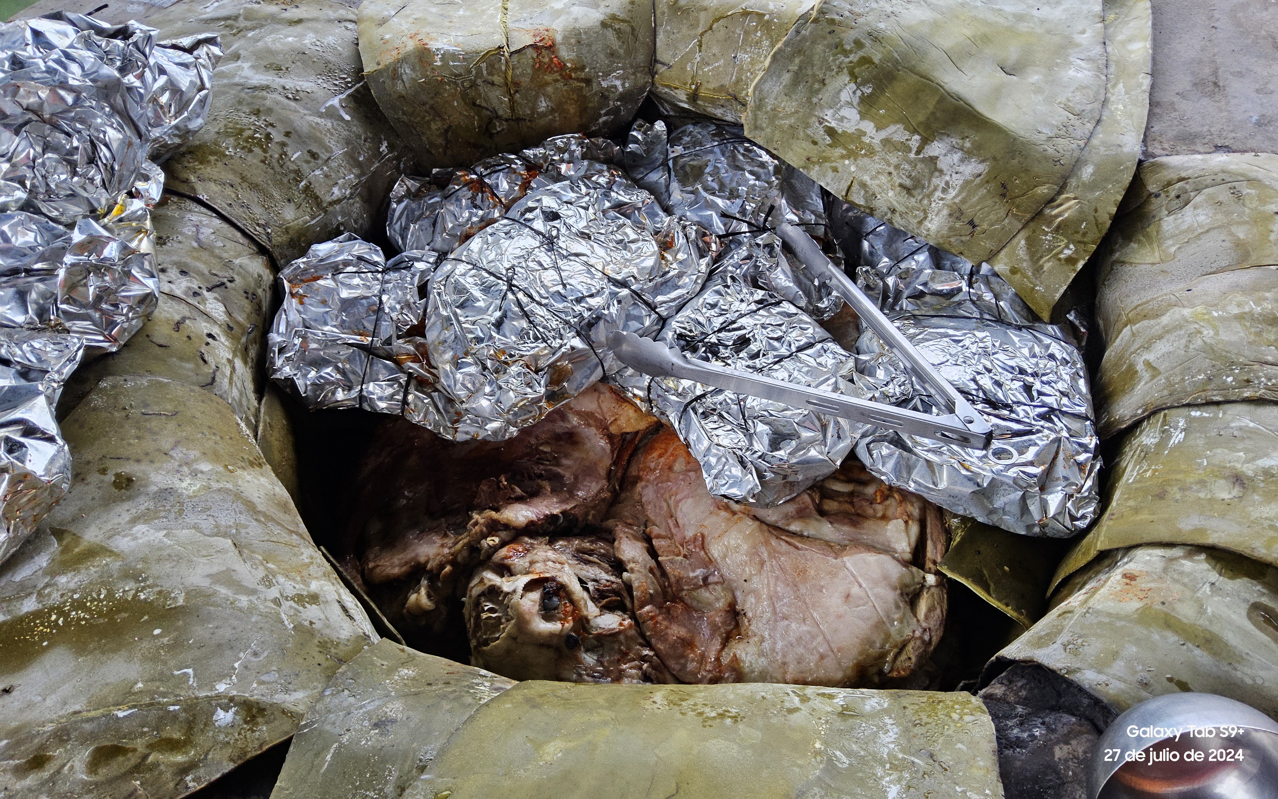 Fonda Tanita image 2