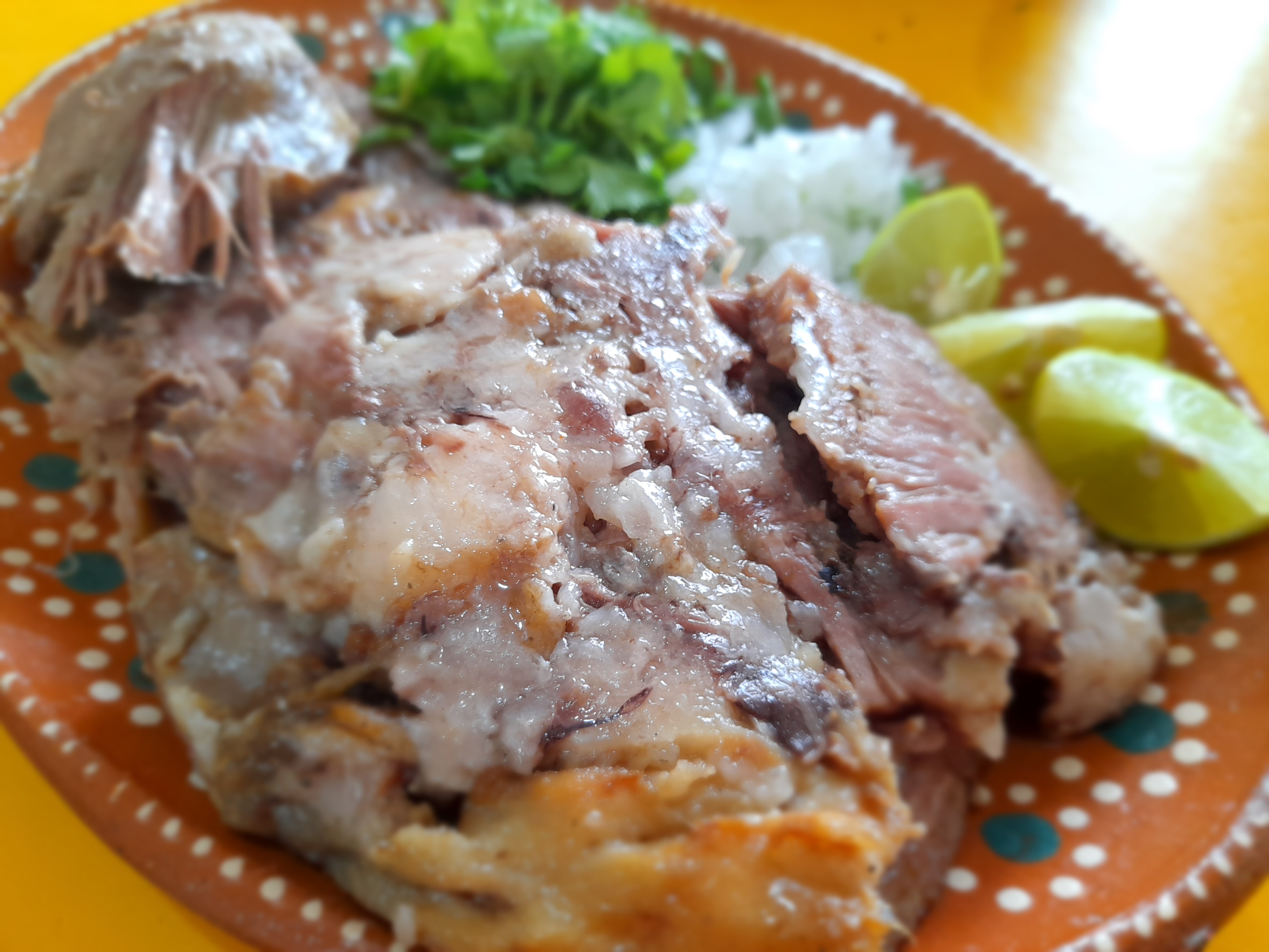 Fonda Tanita image 5