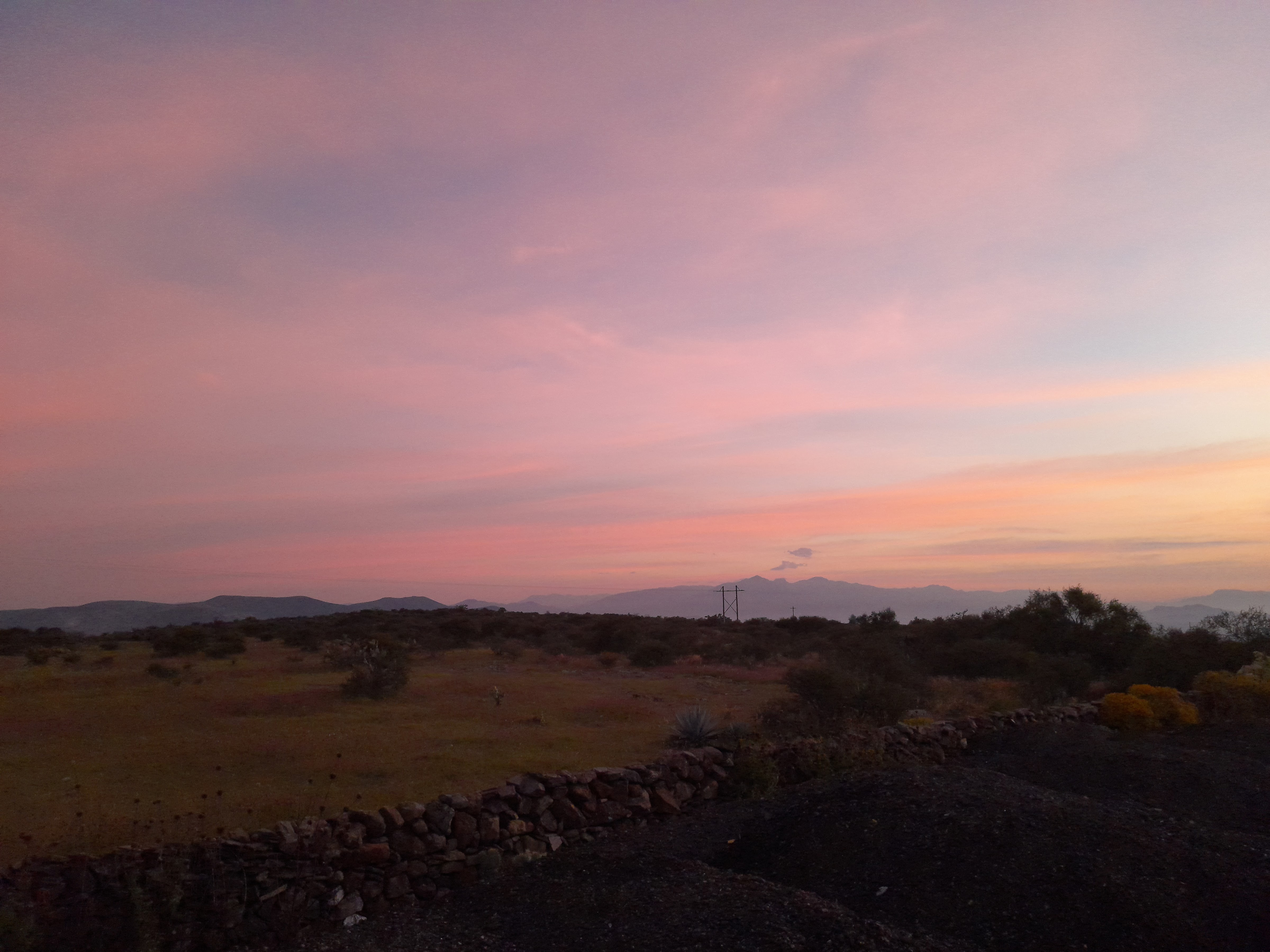 Fonda Tanita image 9