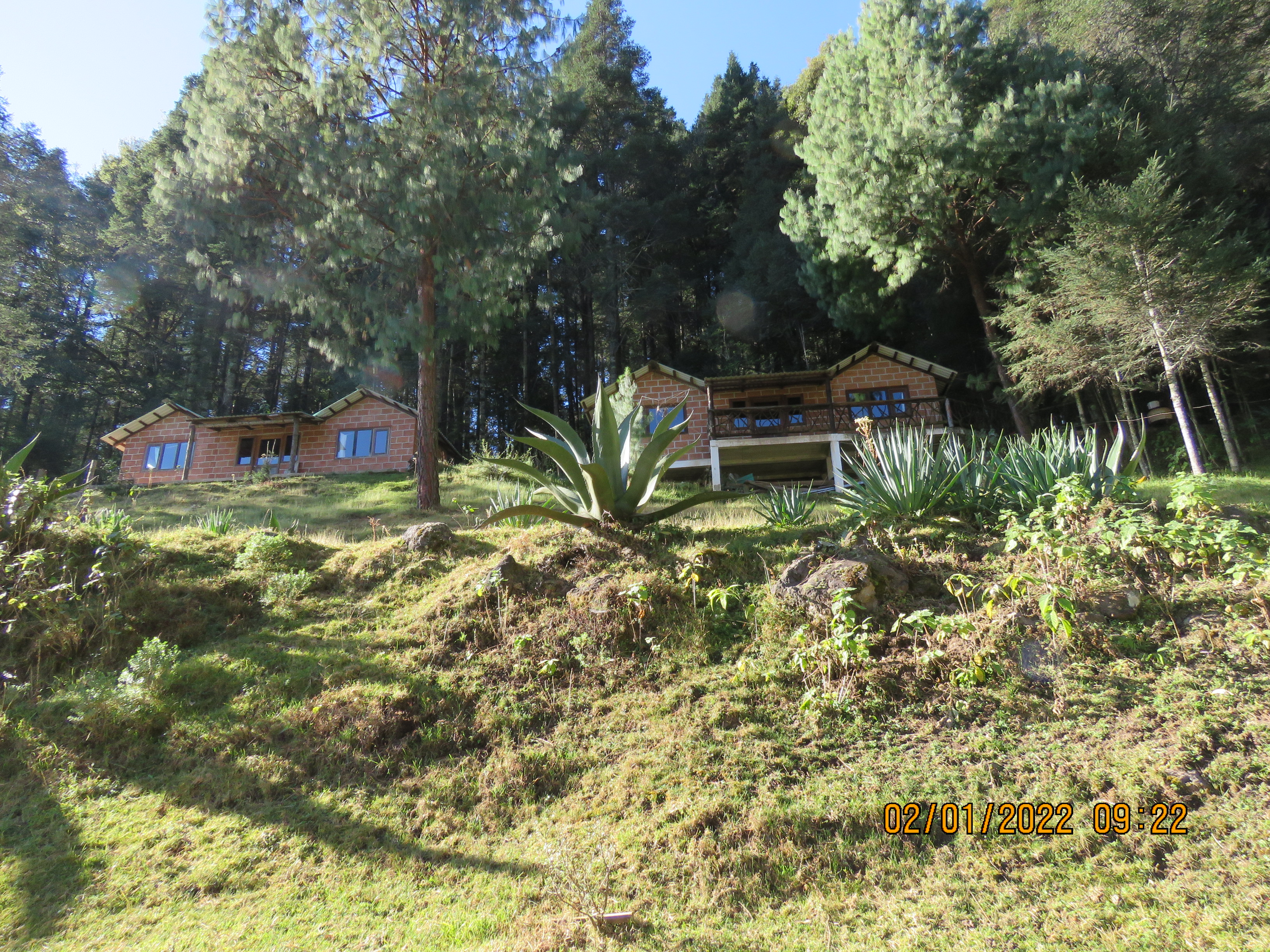 RANCHO PISCICOLA BUENA VISTA image 1