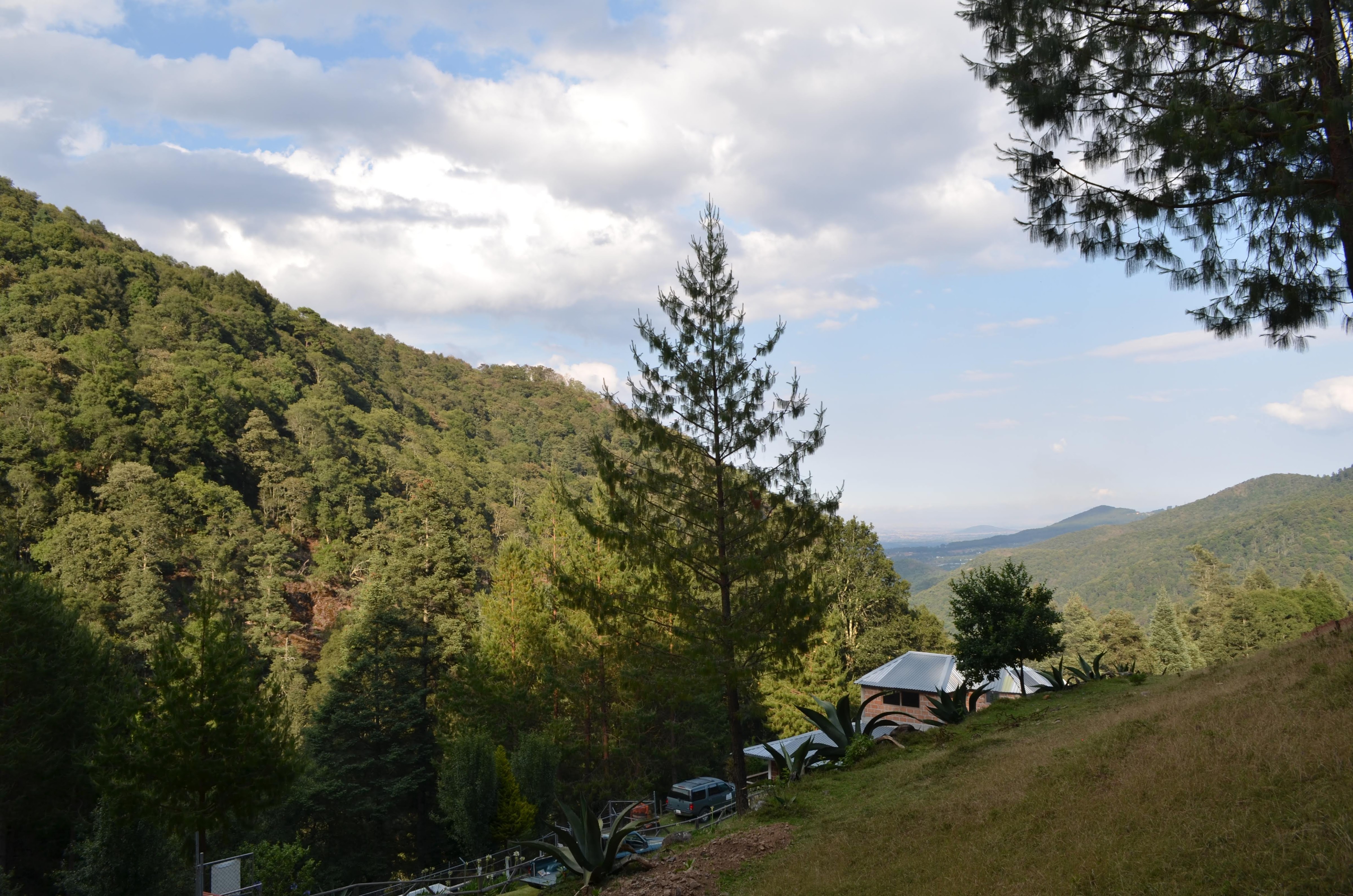 RANCHO PISCICOLA BUENA VISTA image 3