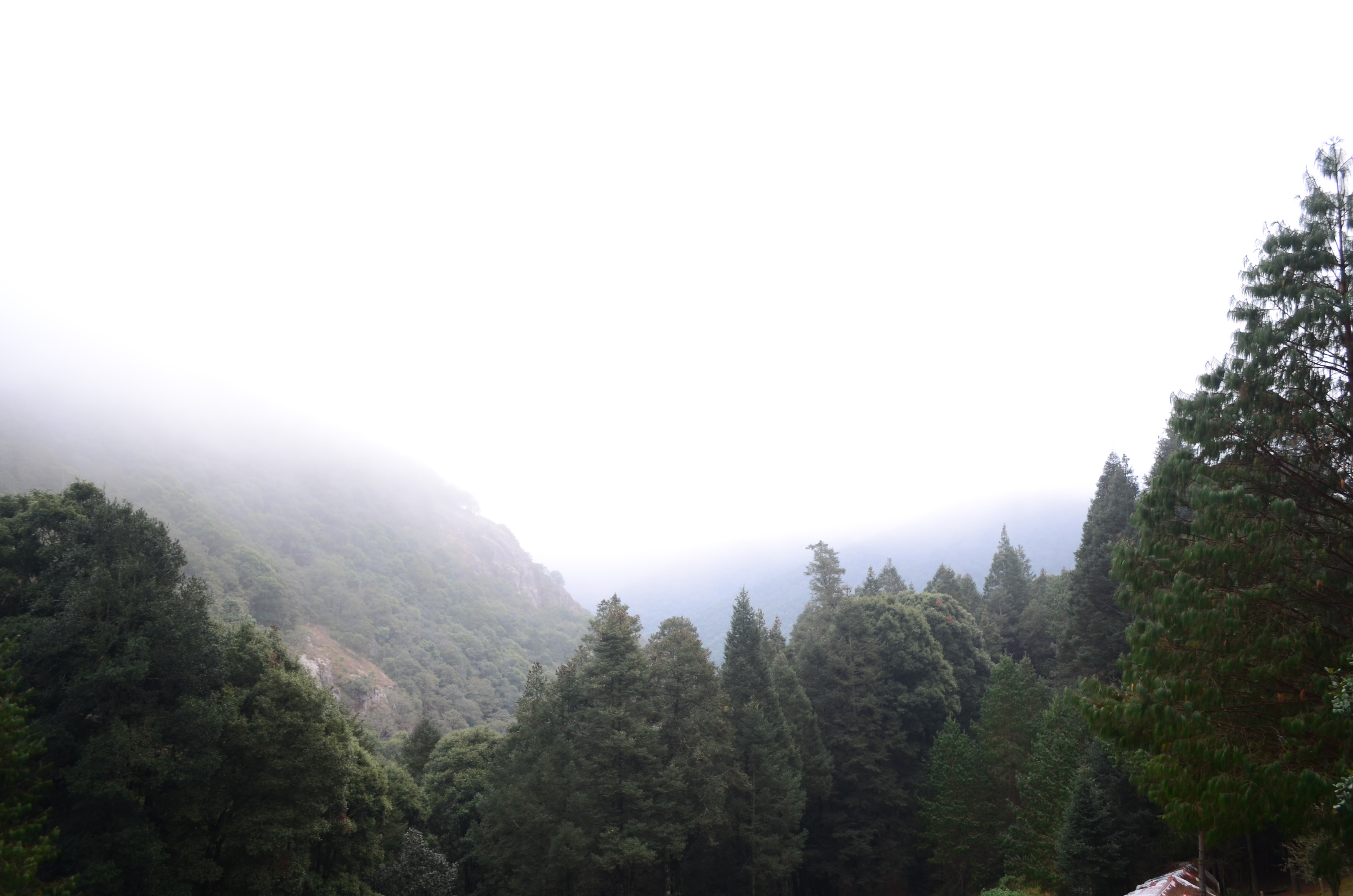 RANCHO PISCICOLA BUENA VISTA image 6