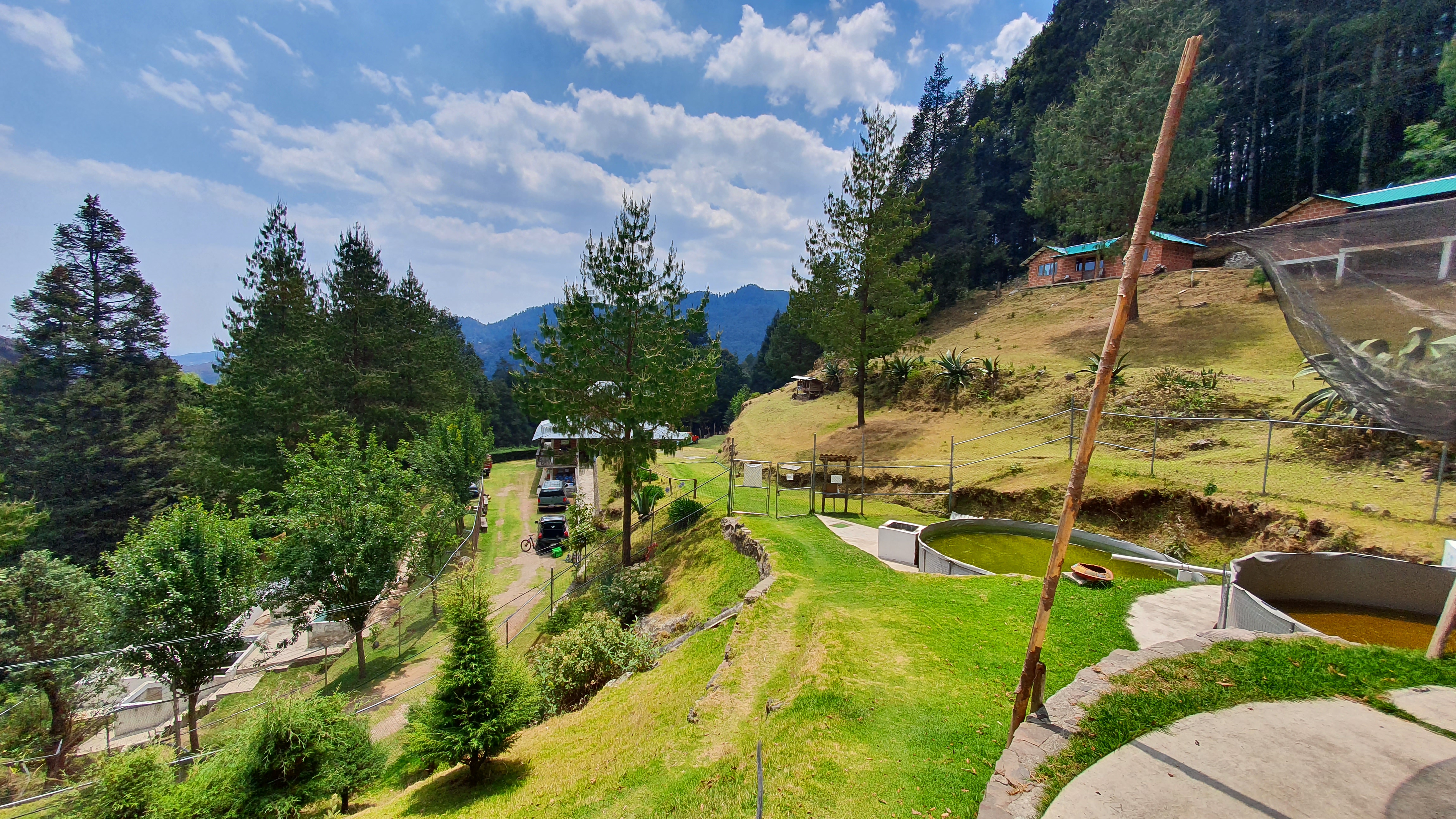 RANCHO PISCICOLA BUENA VISTA image 7