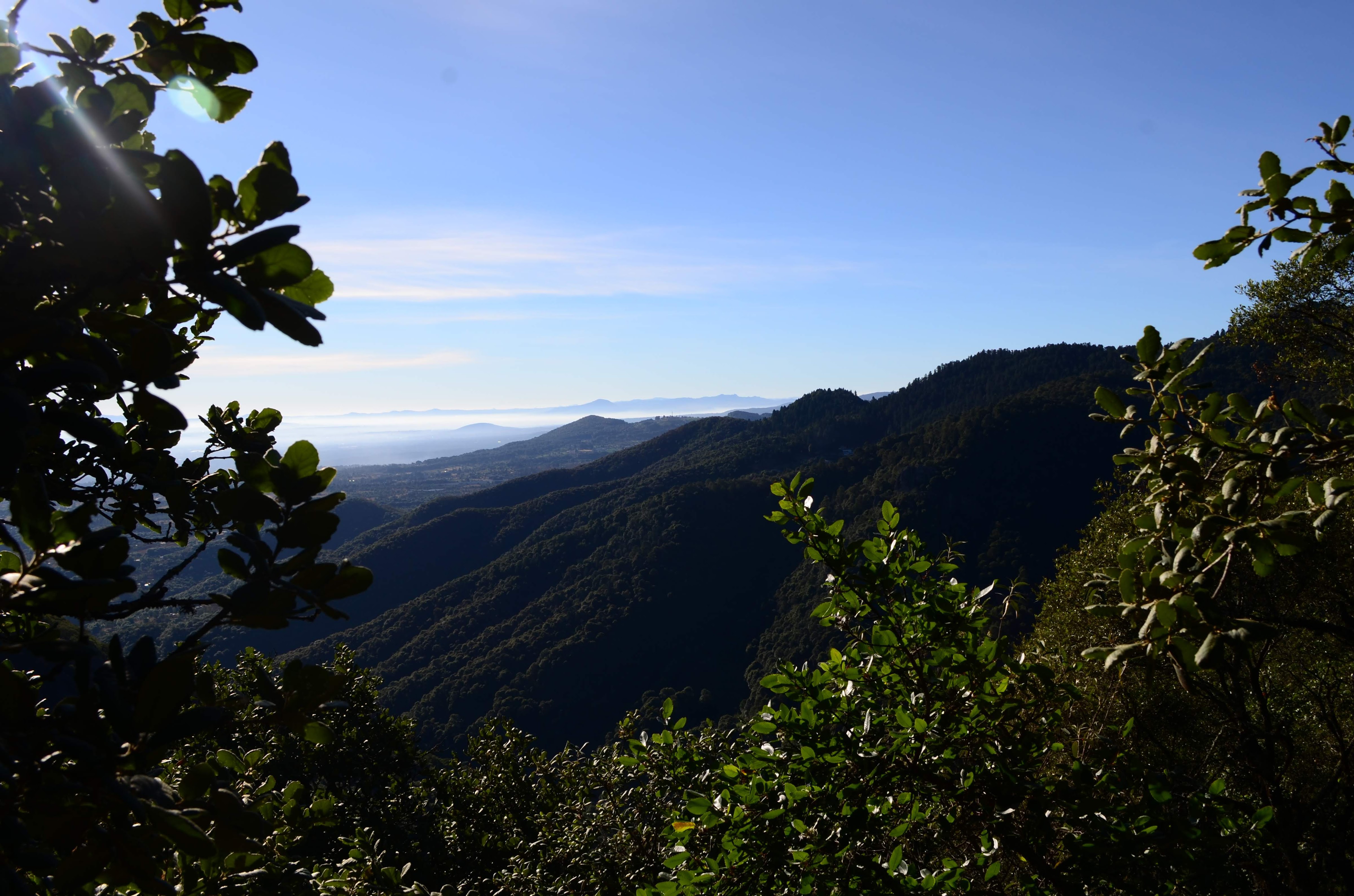 RANCHO PISCICOLA BUENA VISTA image 8