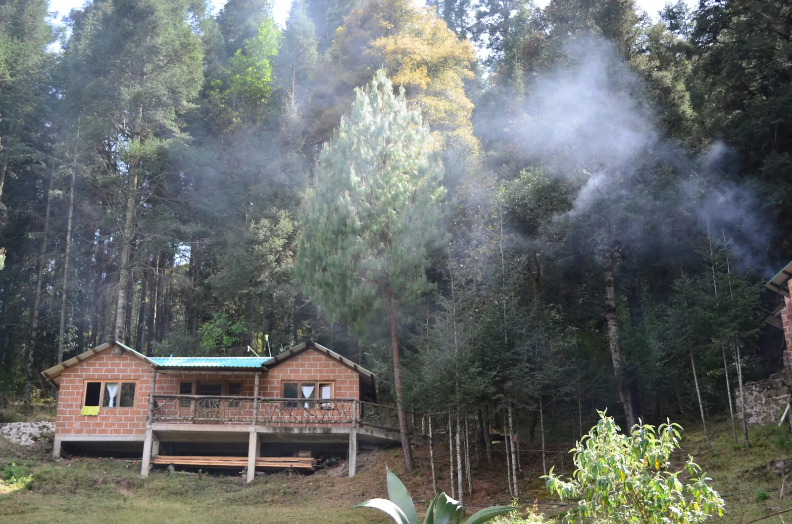 RANCHO PISCICOLA BUENA VISTA image 9
