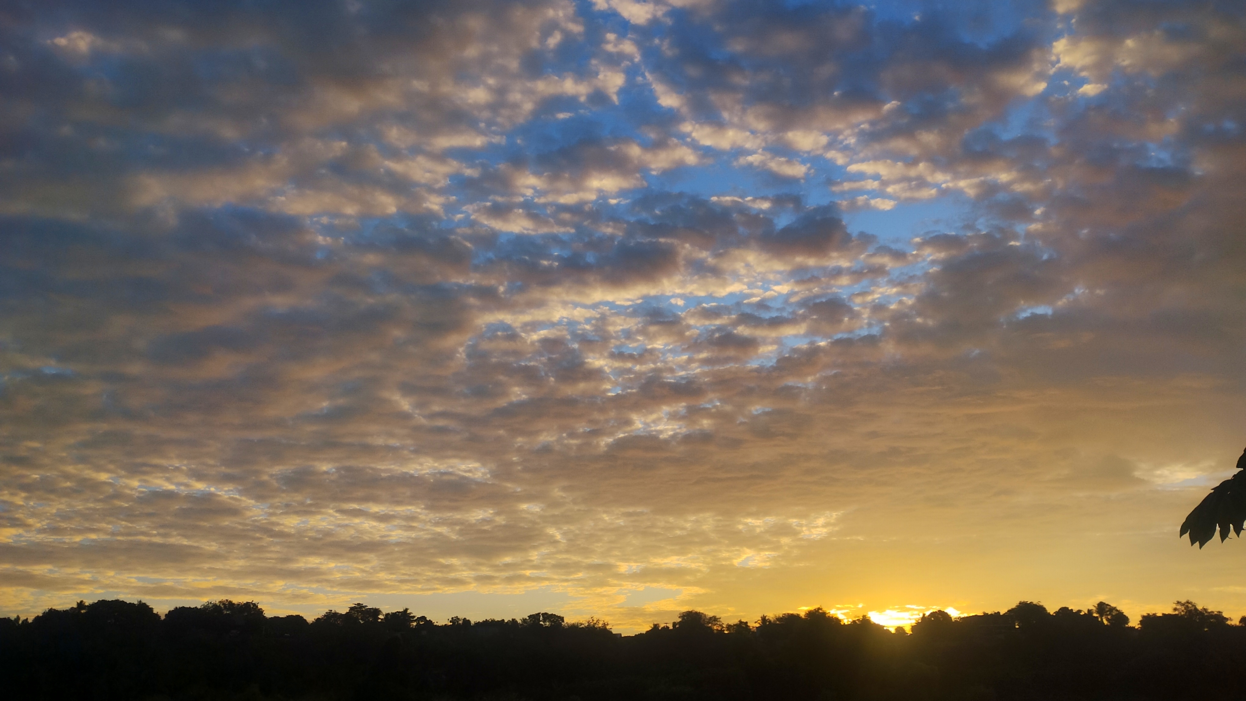 Restaurante Lourdes🍴 image 10