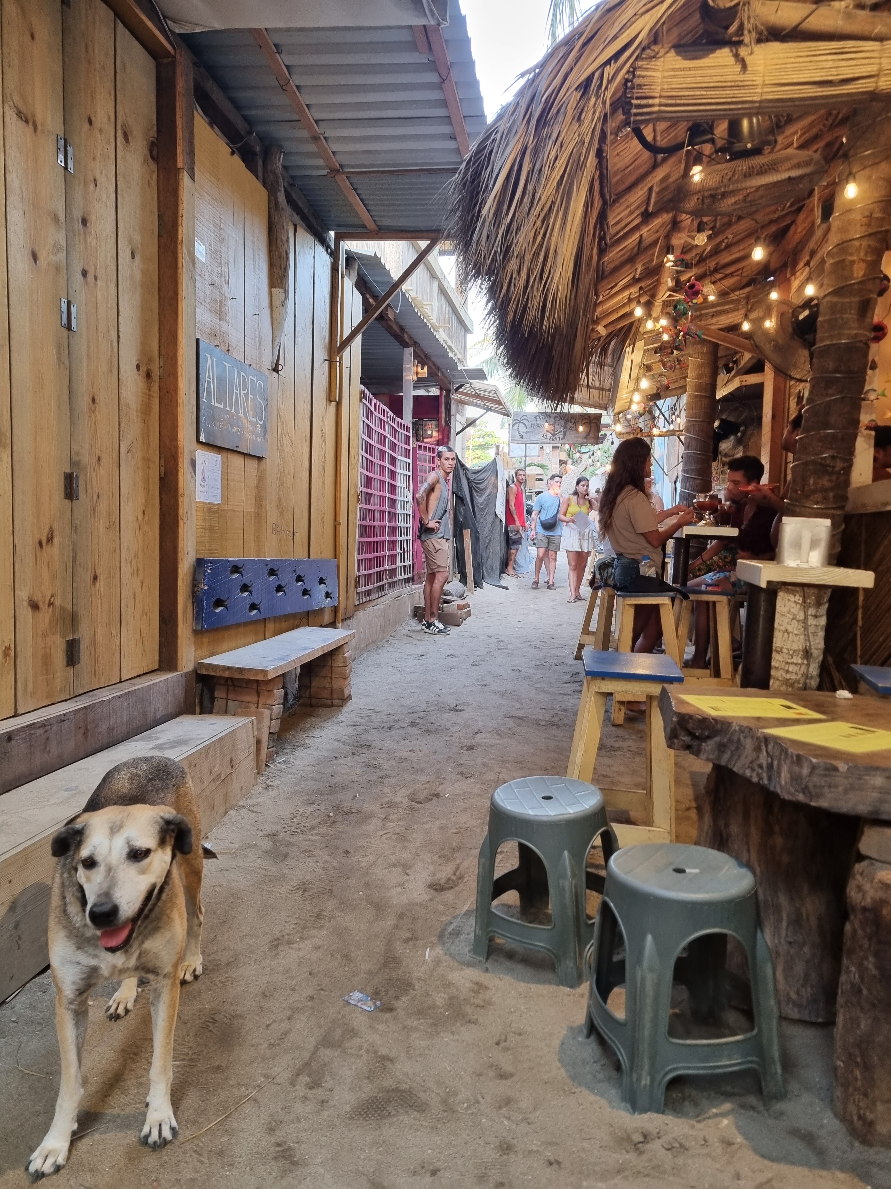 La Ola Taquería image 9