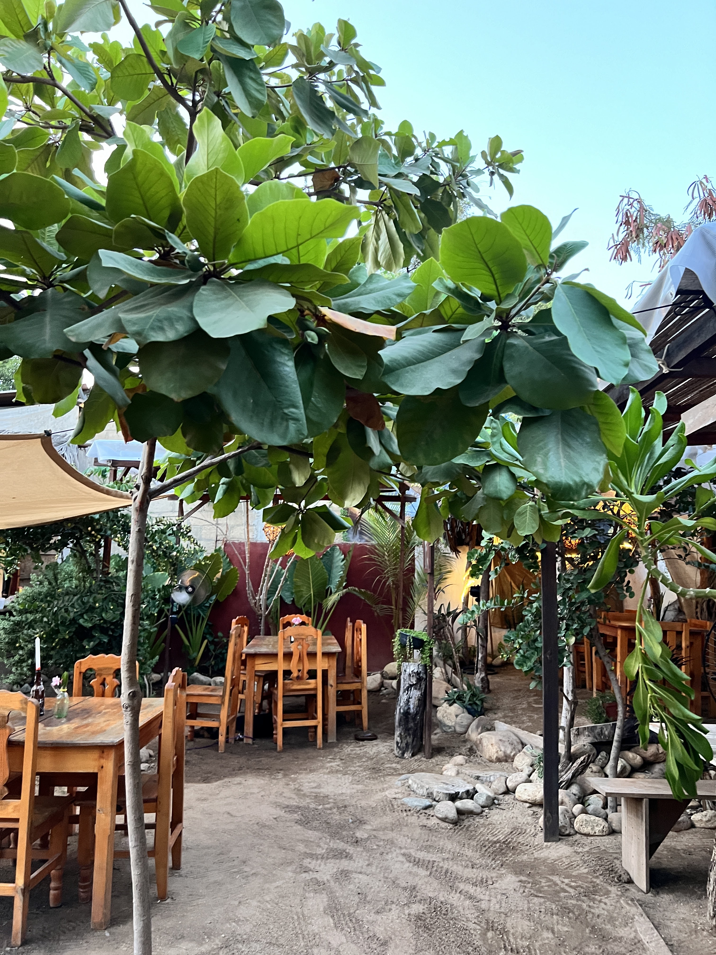 The Thai Garden image 1