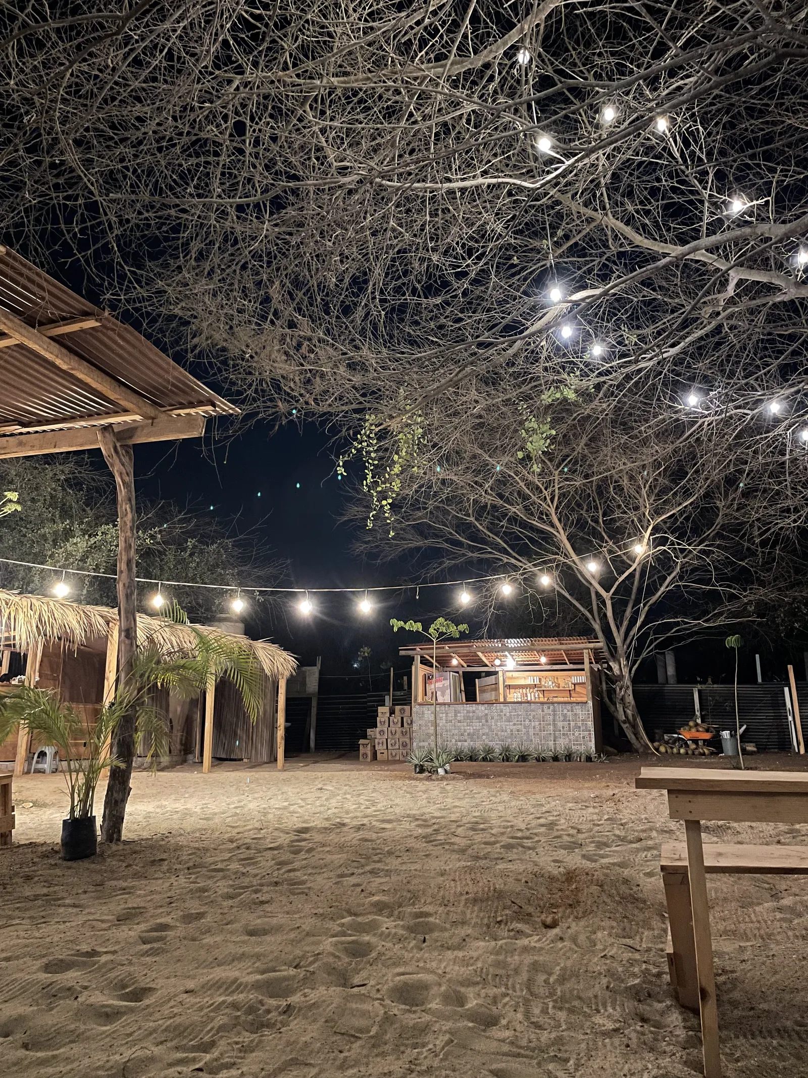La ceiba food park image 5