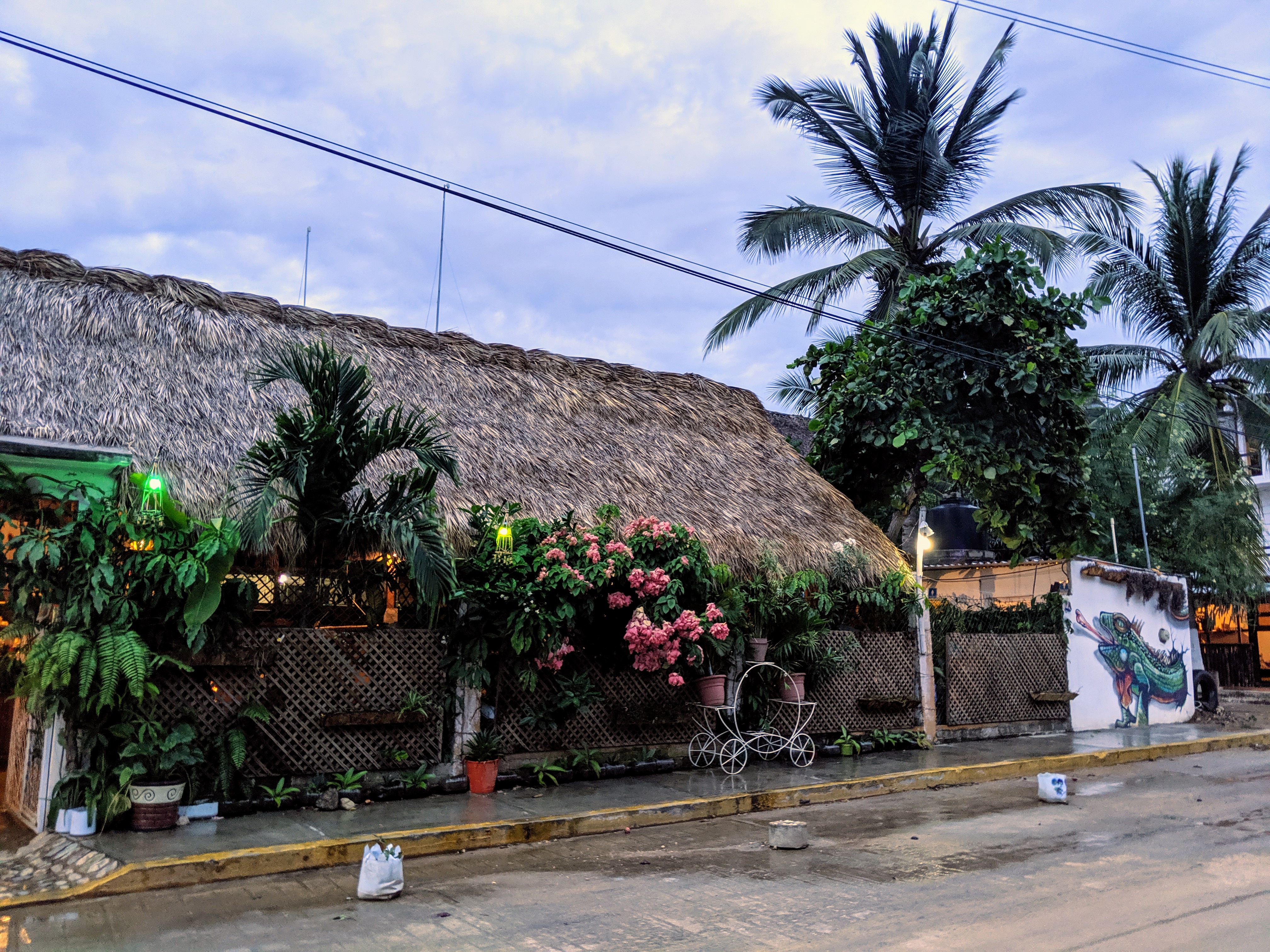 AMOKI JR. La Casa Del BIG Burrito Punta Zicatela image 5