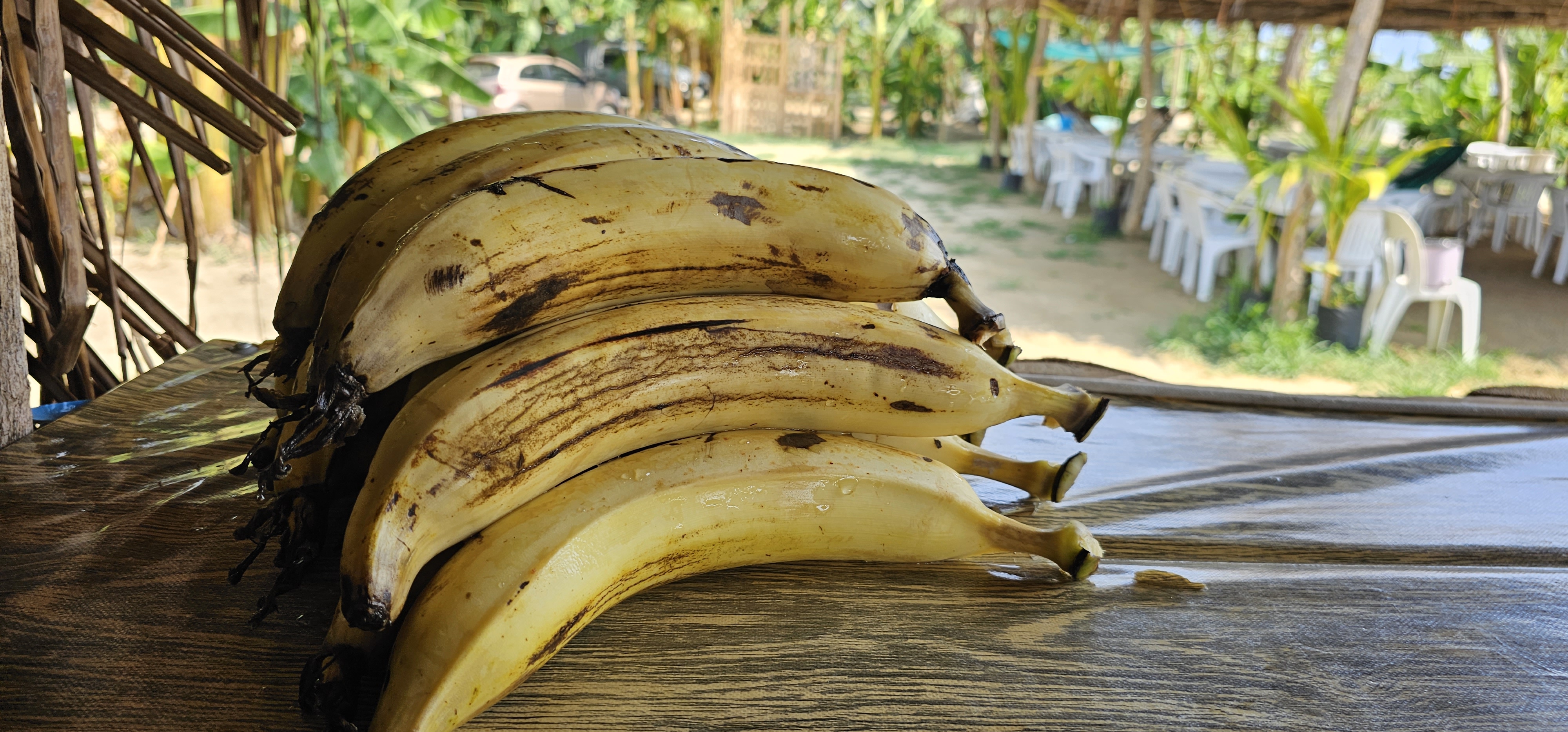 la platanera restaurante bar image 2