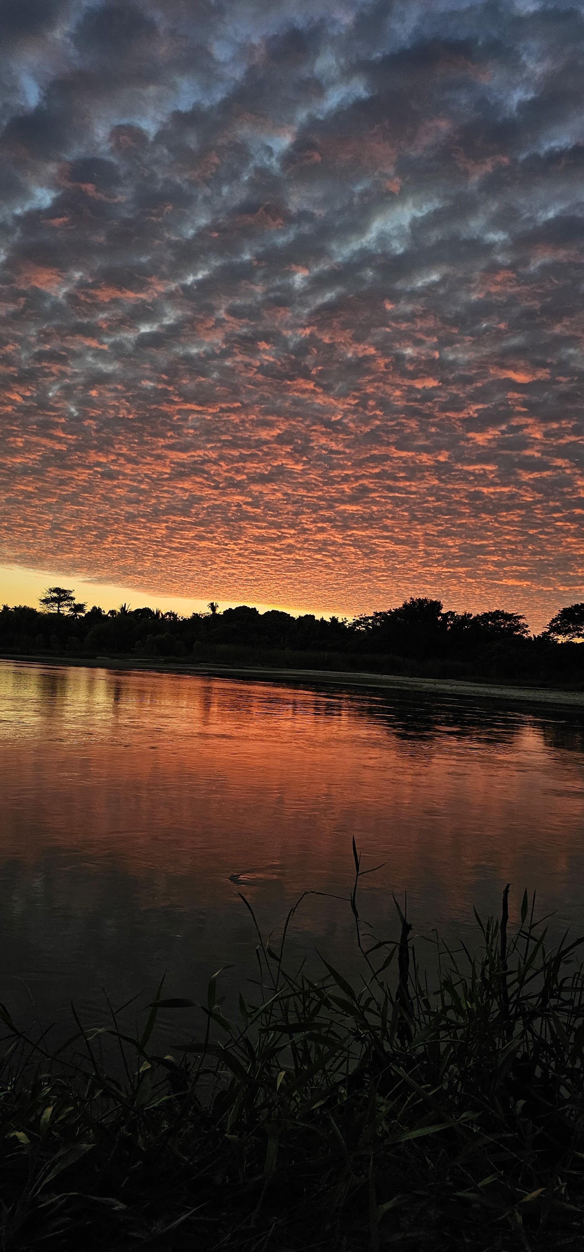 la platanera restaurante bar image 7