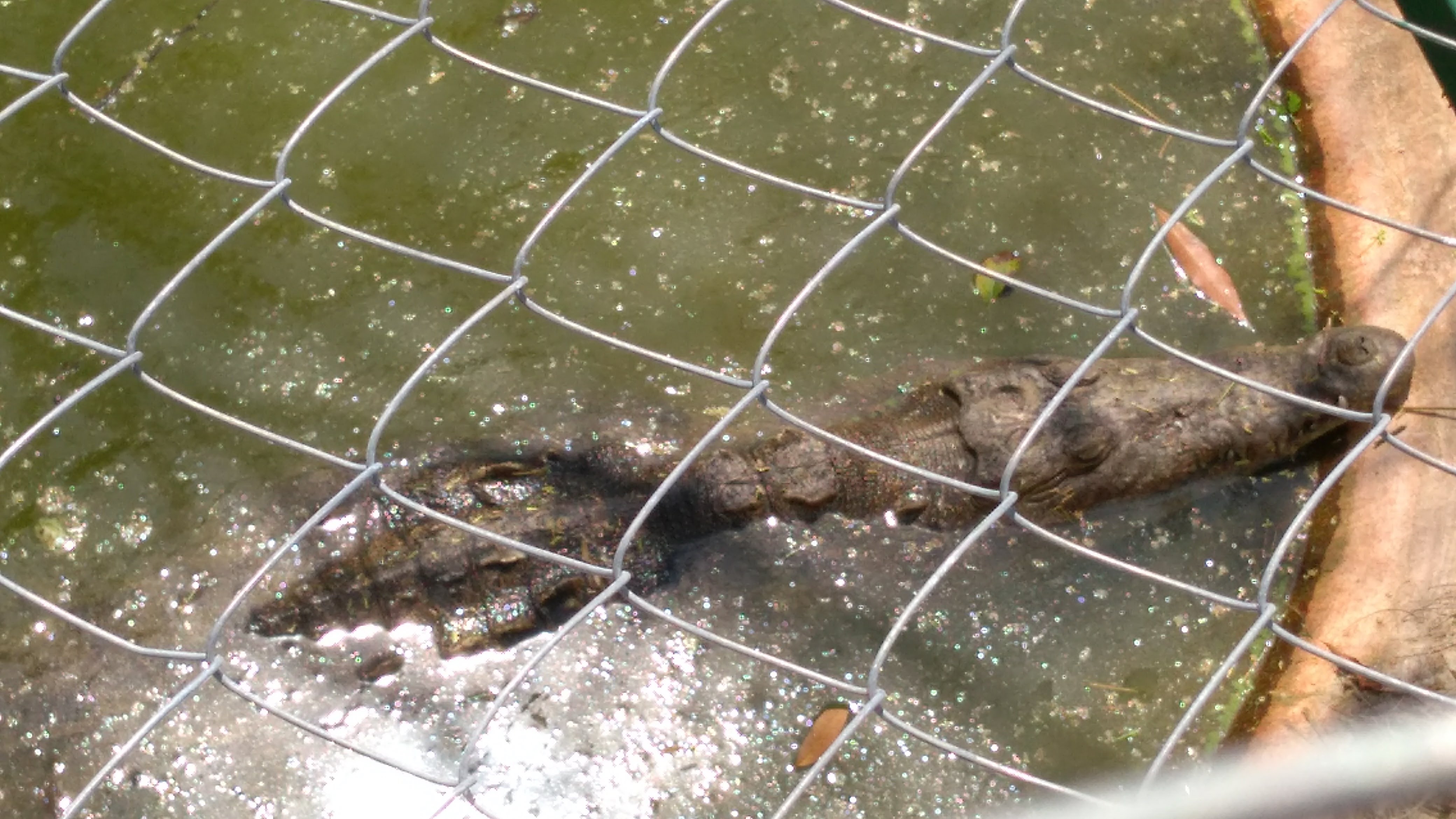 La Huerta de Don Juan image 4