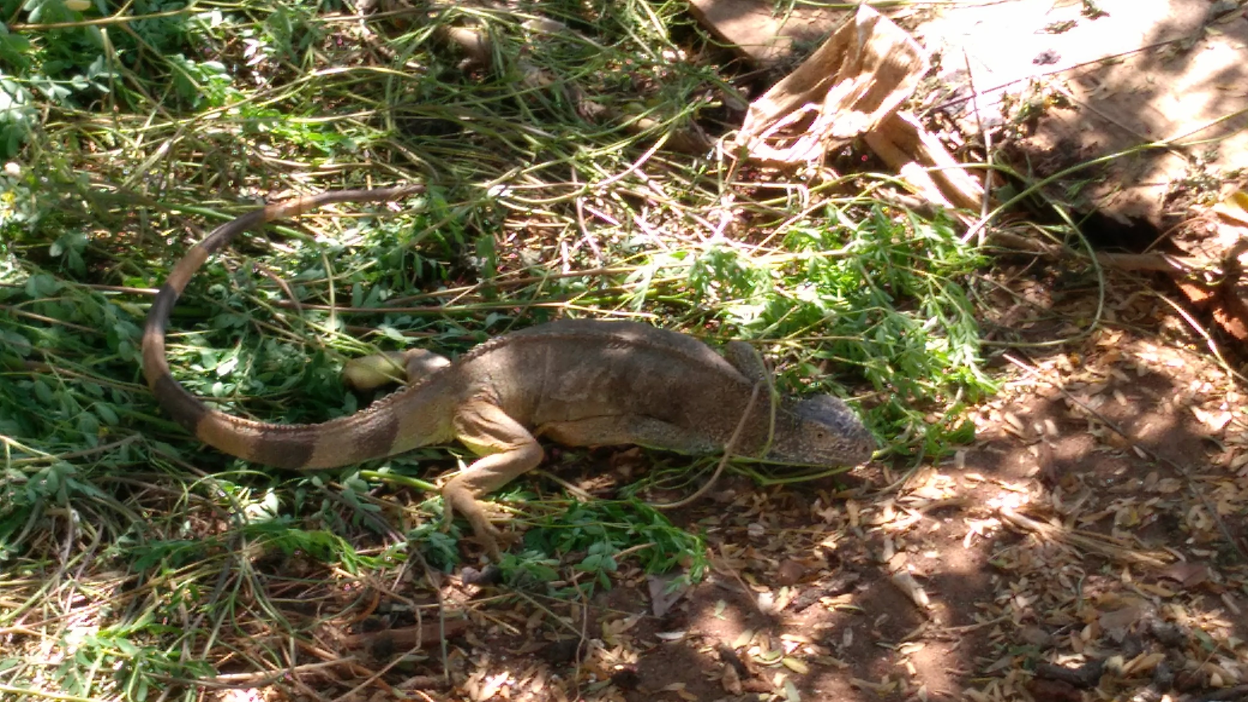 La Huerta de Don Juan image 10