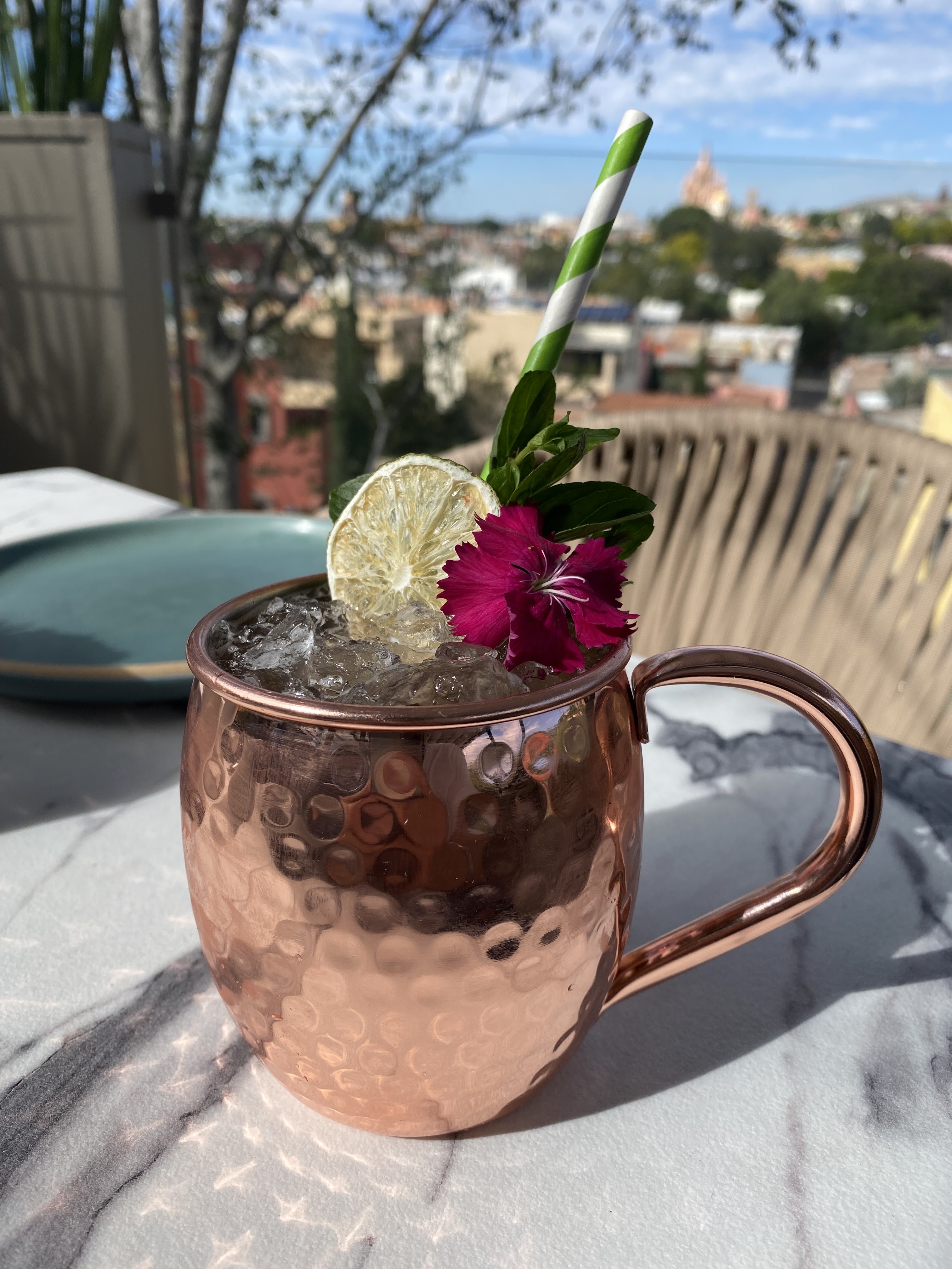 Terraza La Vista image 7