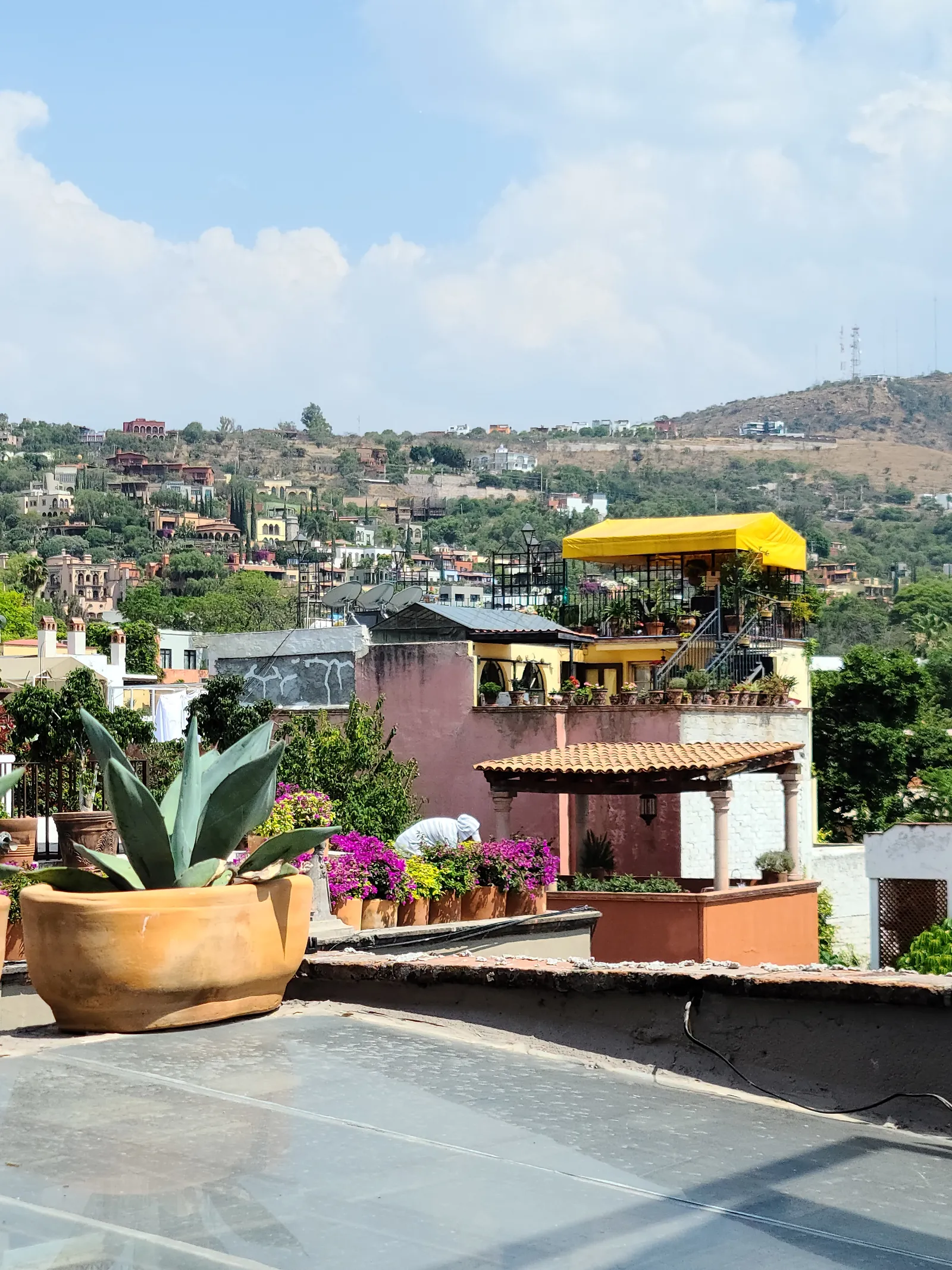 Agavia 115 image 8