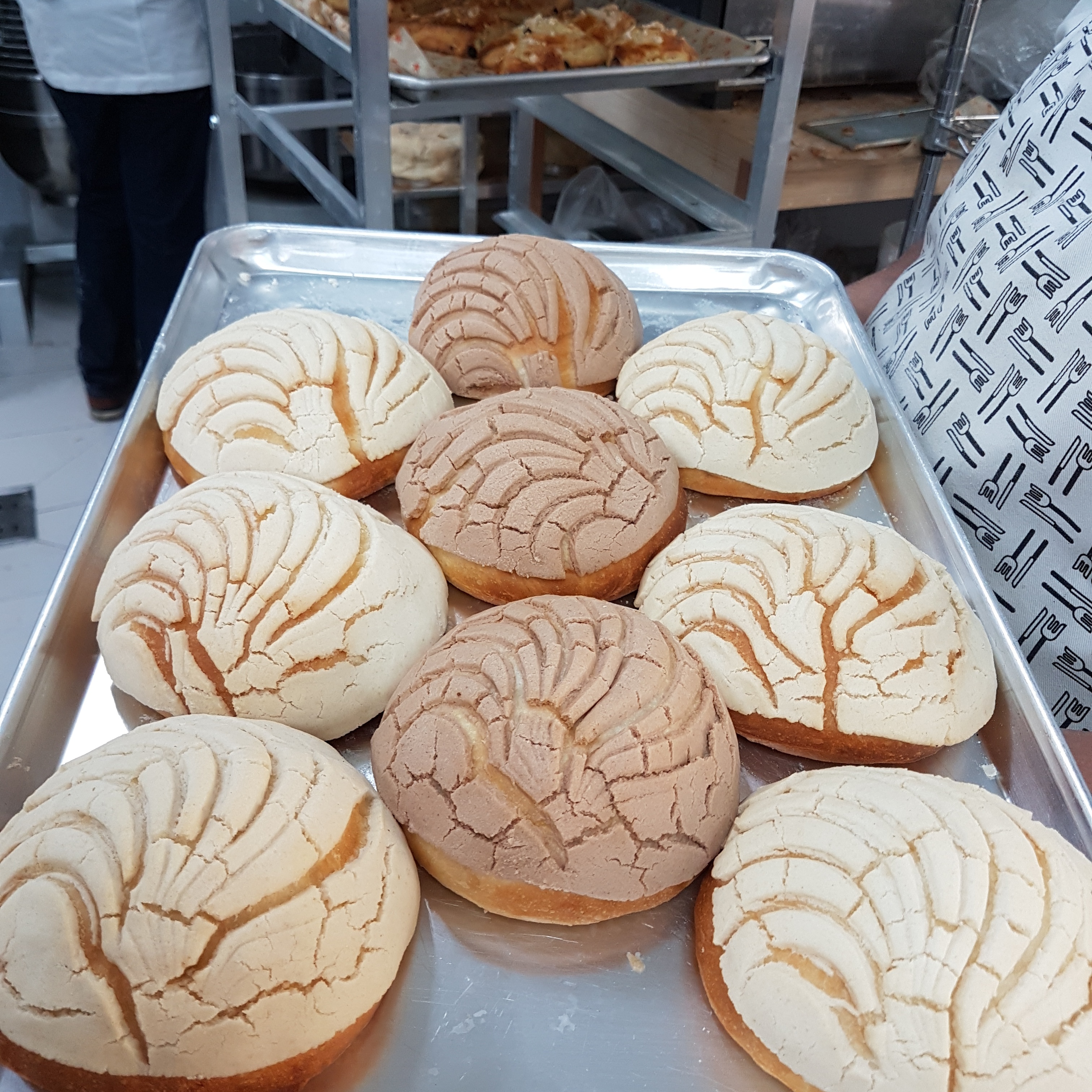 Marulier Luciernaga image 2