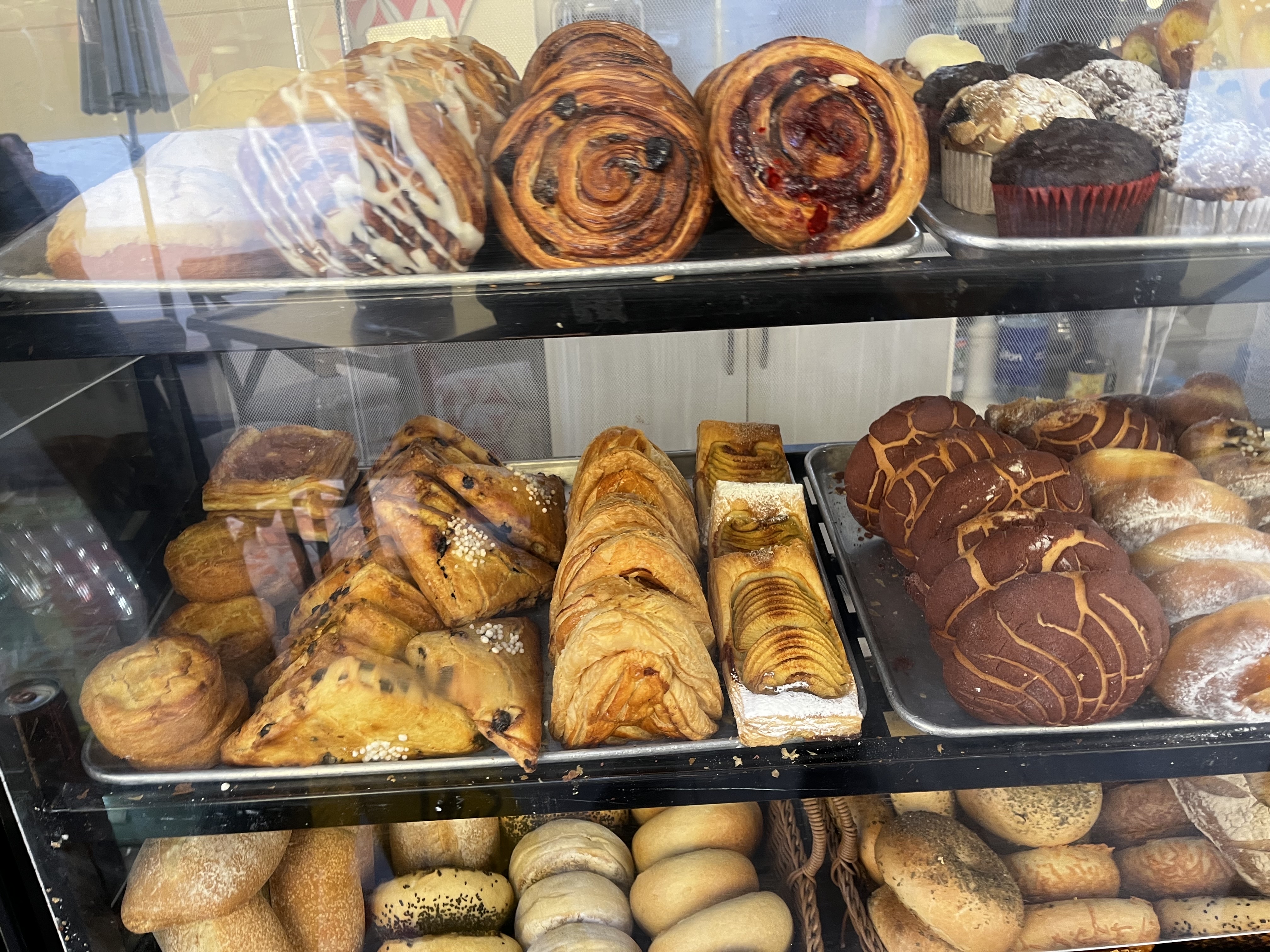 Marulier Luciernaga image 8