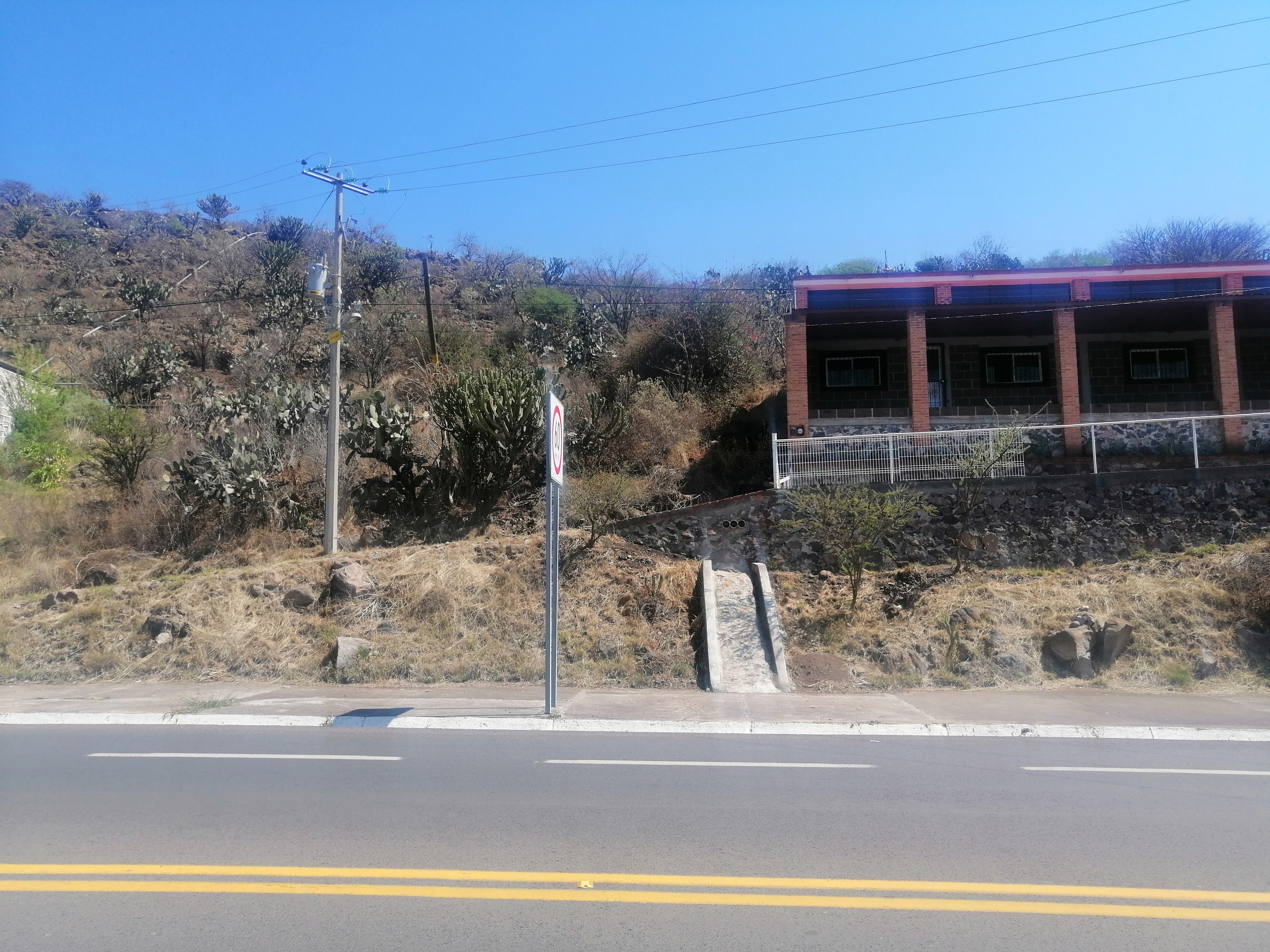 Barbacoa Pillo Rico image 8