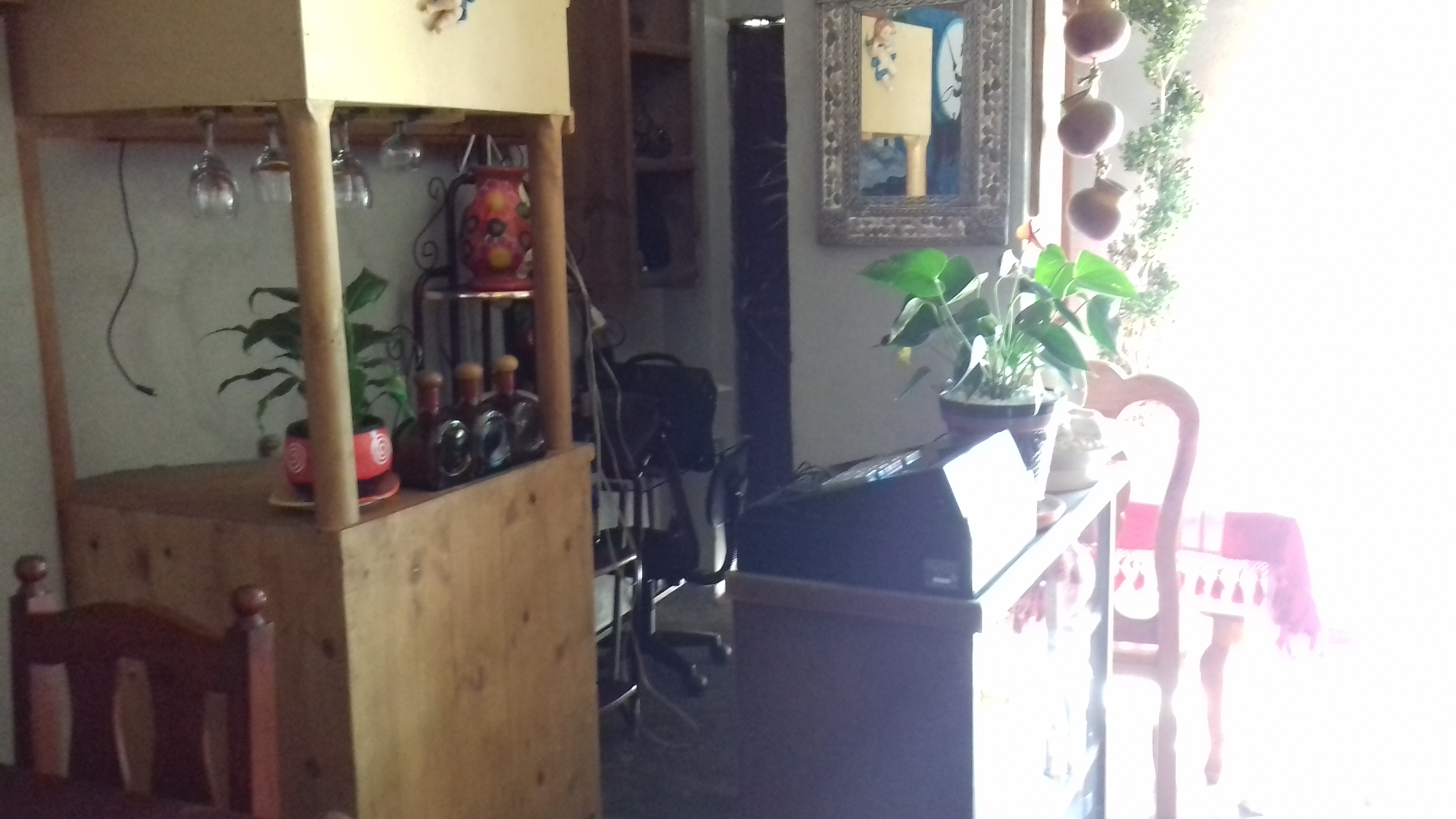 Los Alcatraces De La Mixteca image 7