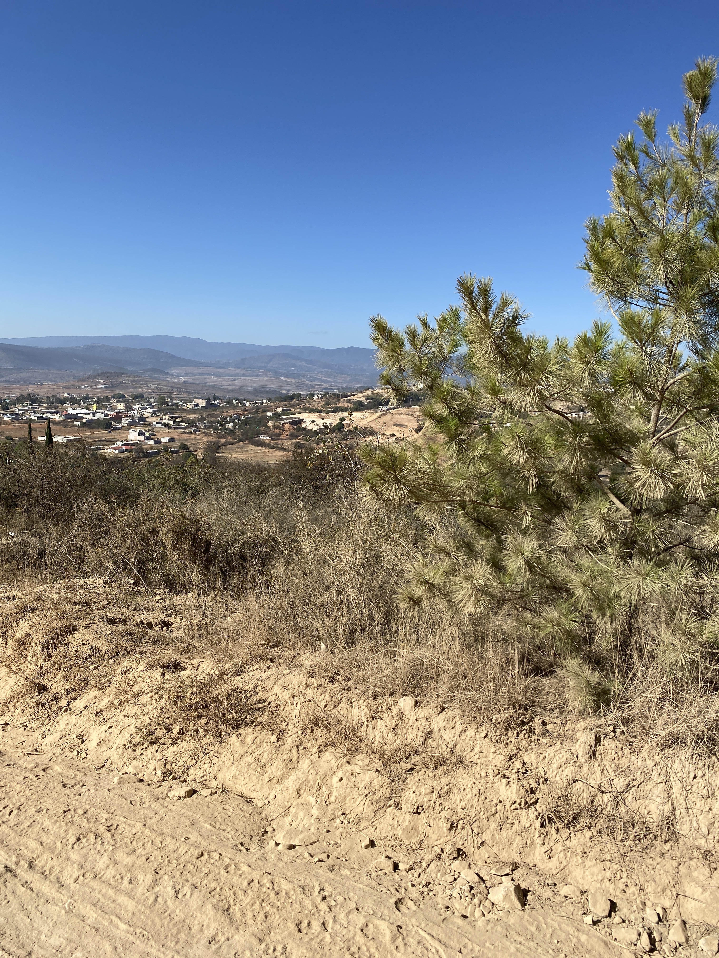 Marisquería Familiar Rancho La Trucha image 10