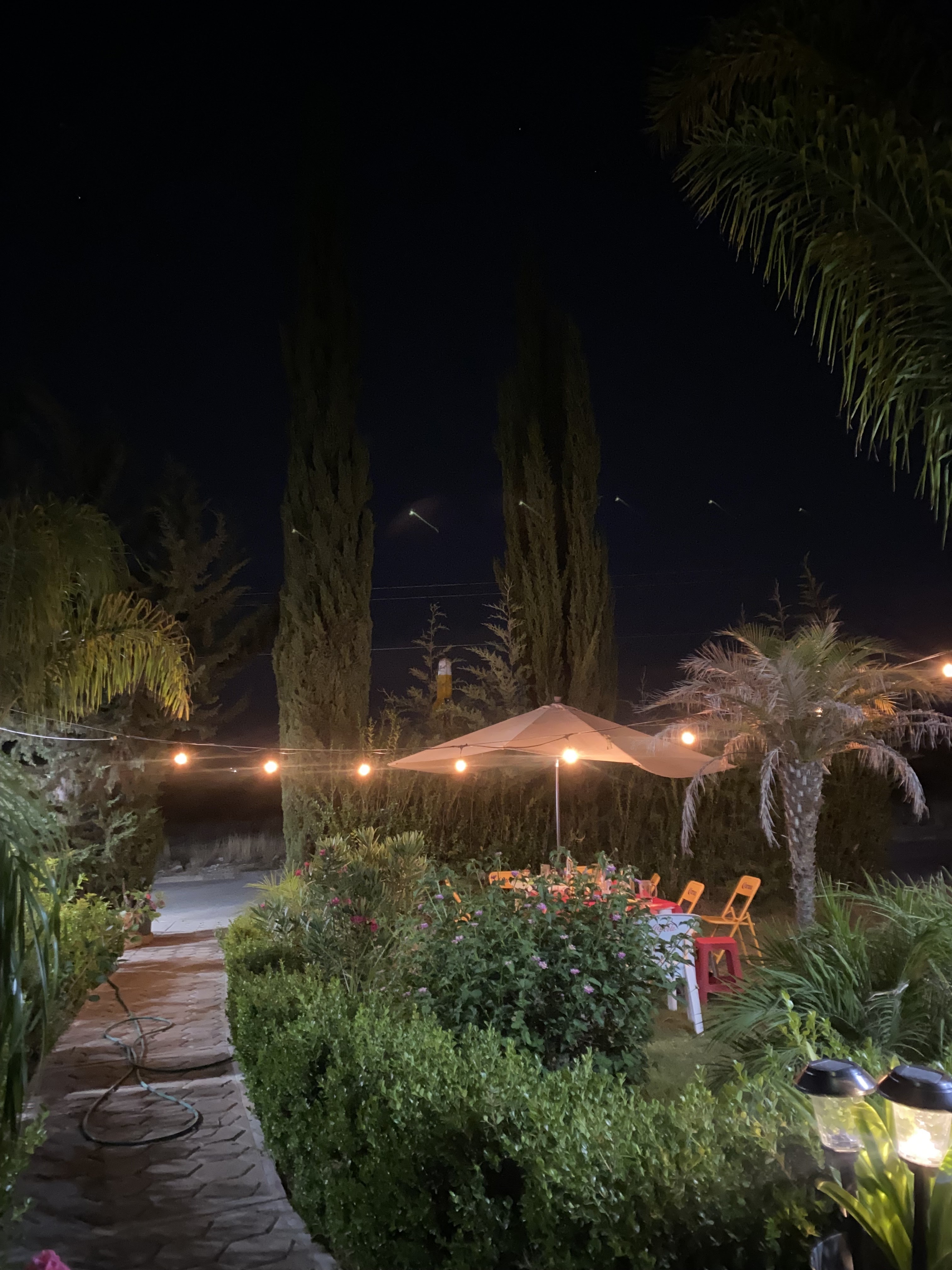 Zurdos Burger image 2