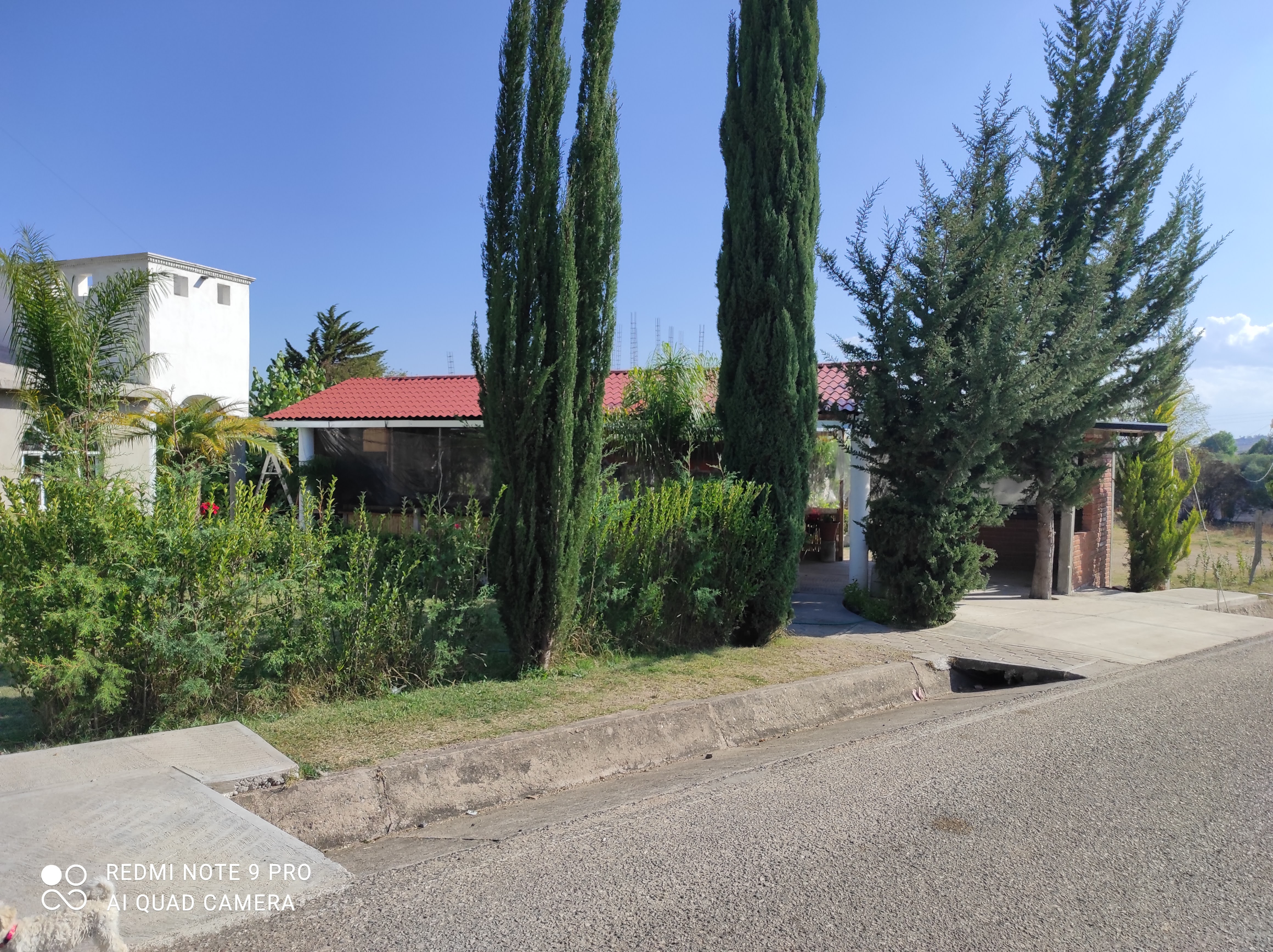 Zurdos Burger image 4