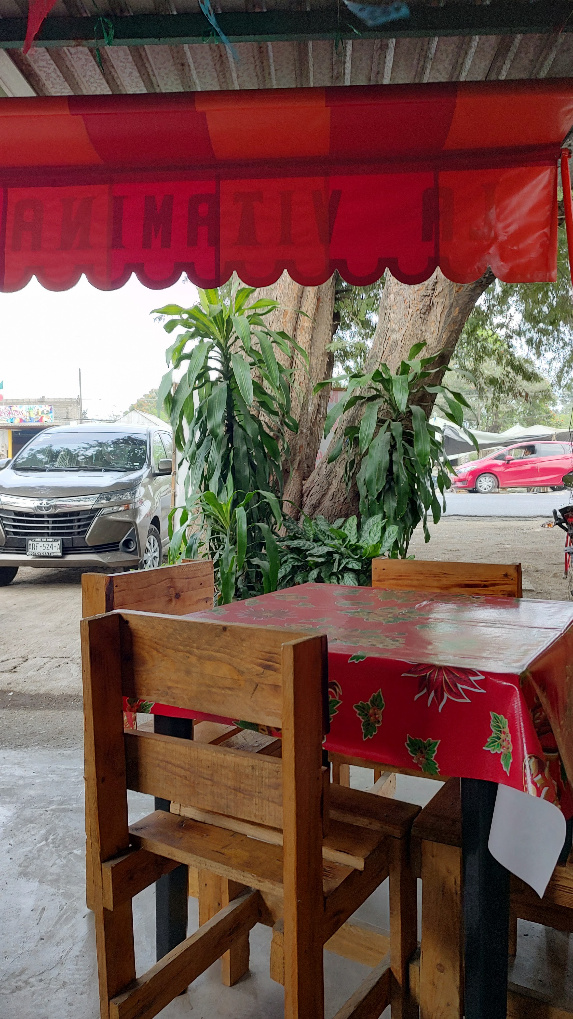 La Vitamina Jarocha image 1