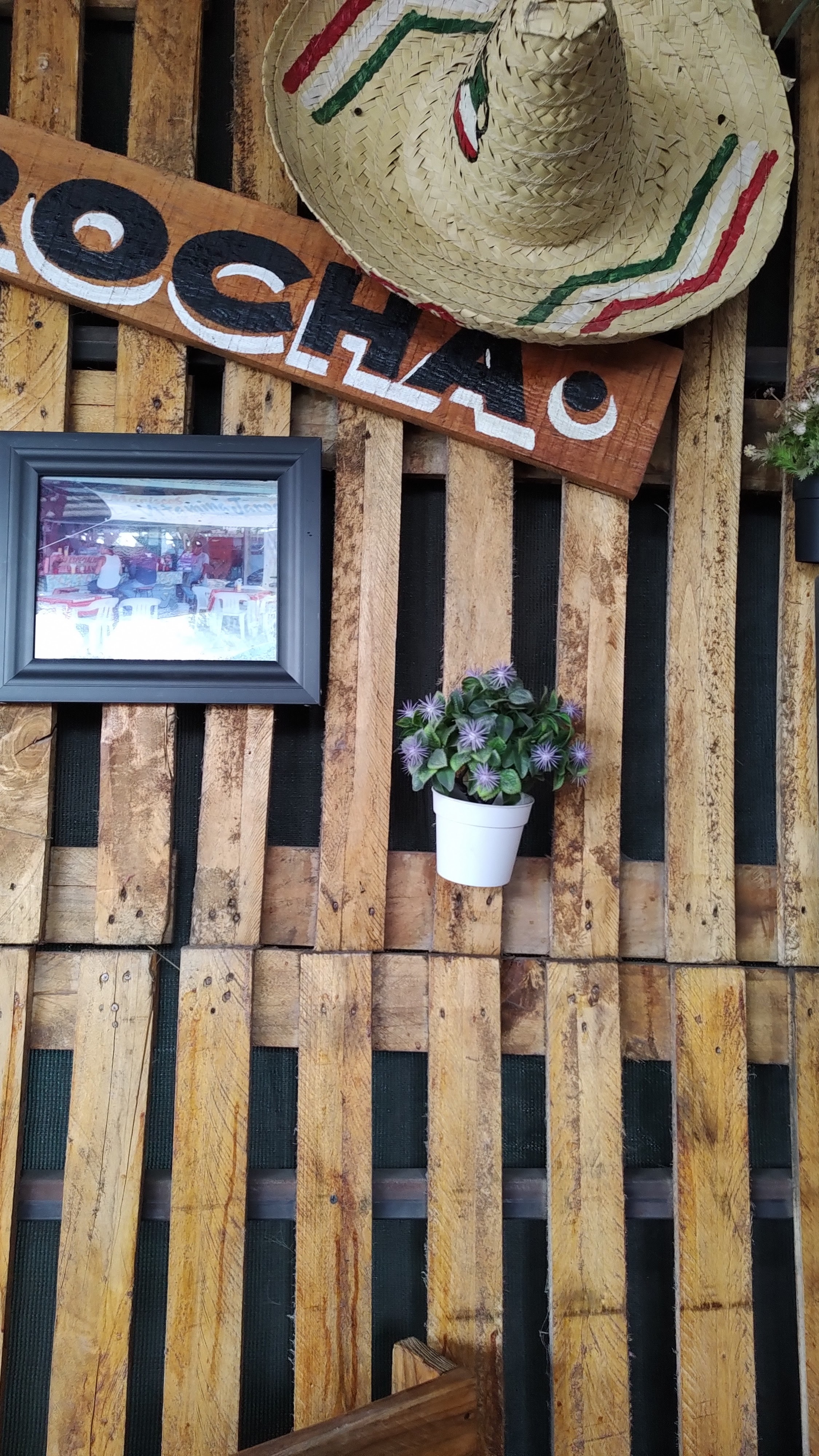 La Vitamina Jarocha image 4