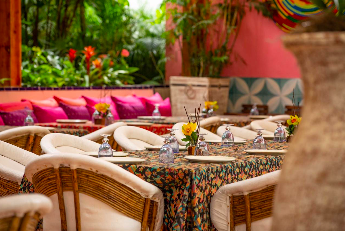 Jardin Nebulosa image 1