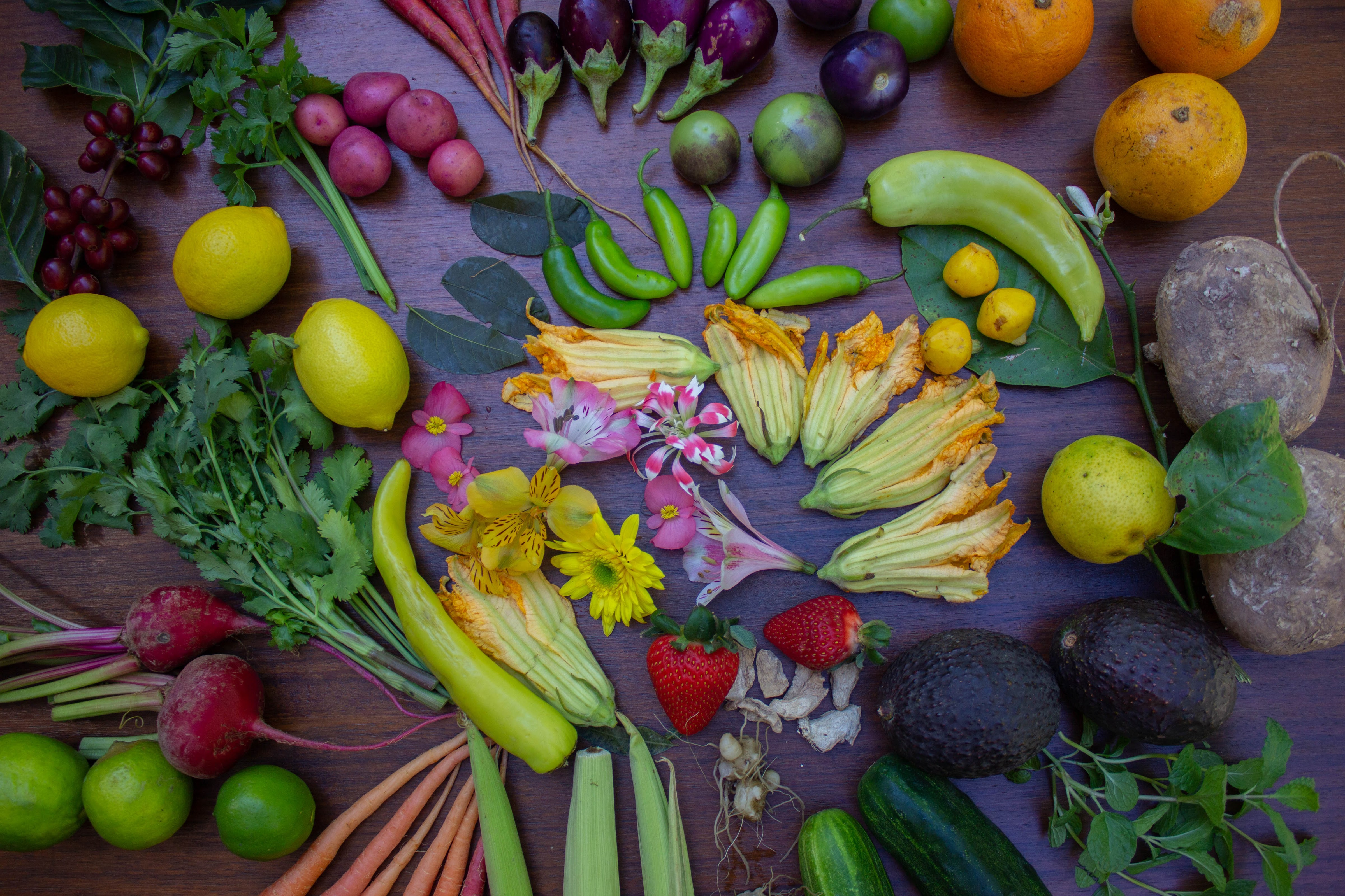 Jardin Nebulosa image 3