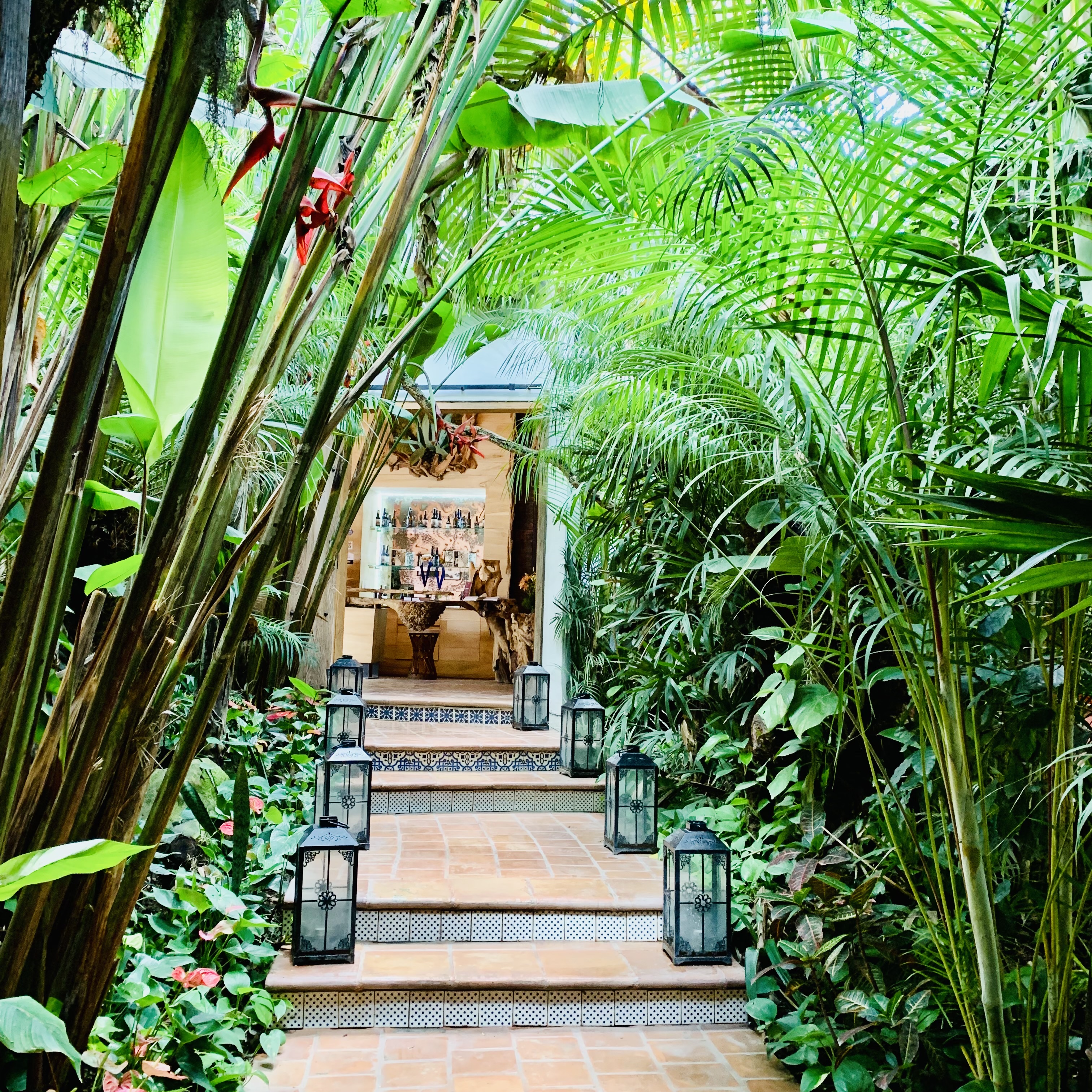 Jardin Nebulosa image 7