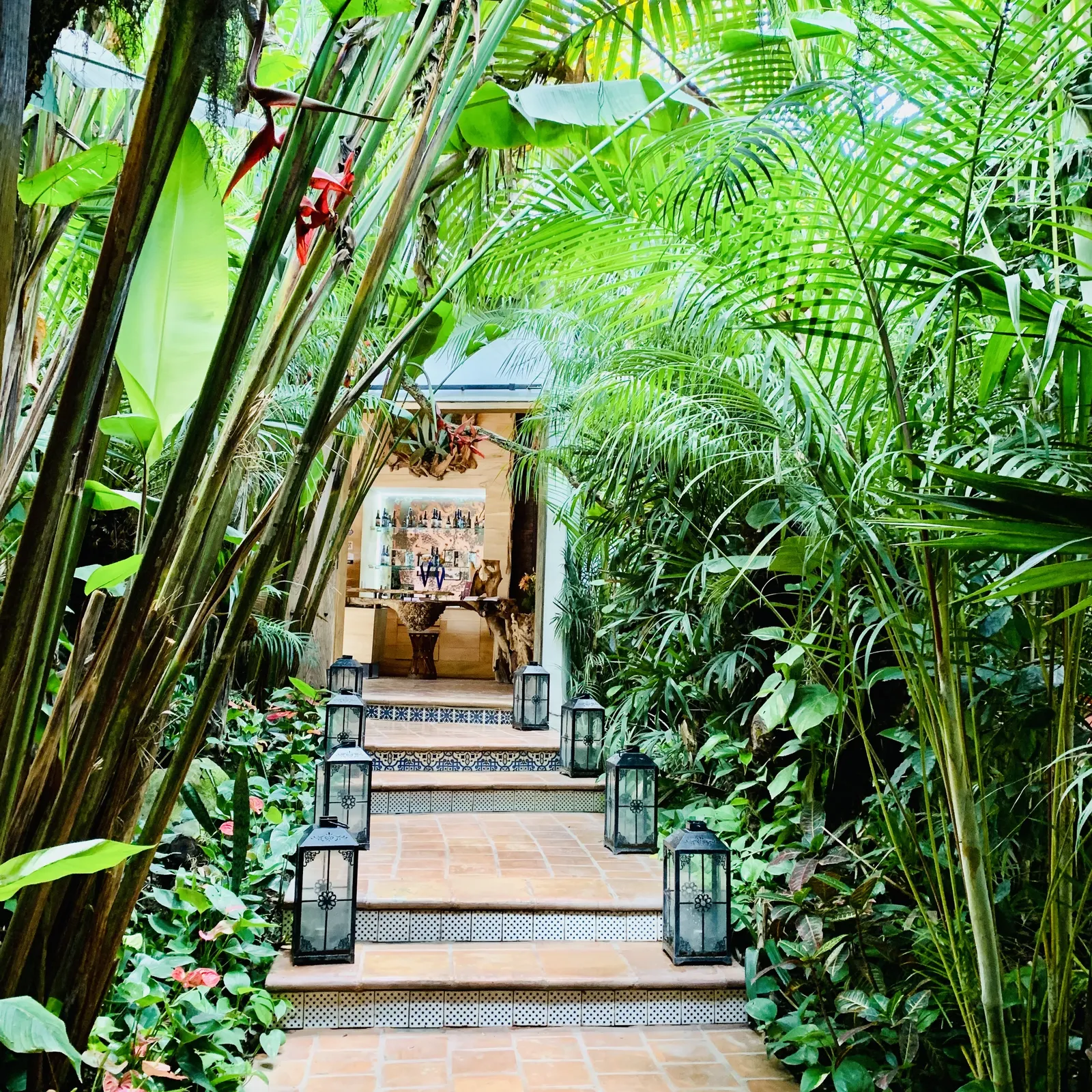 Jardin Nebulosa image 7