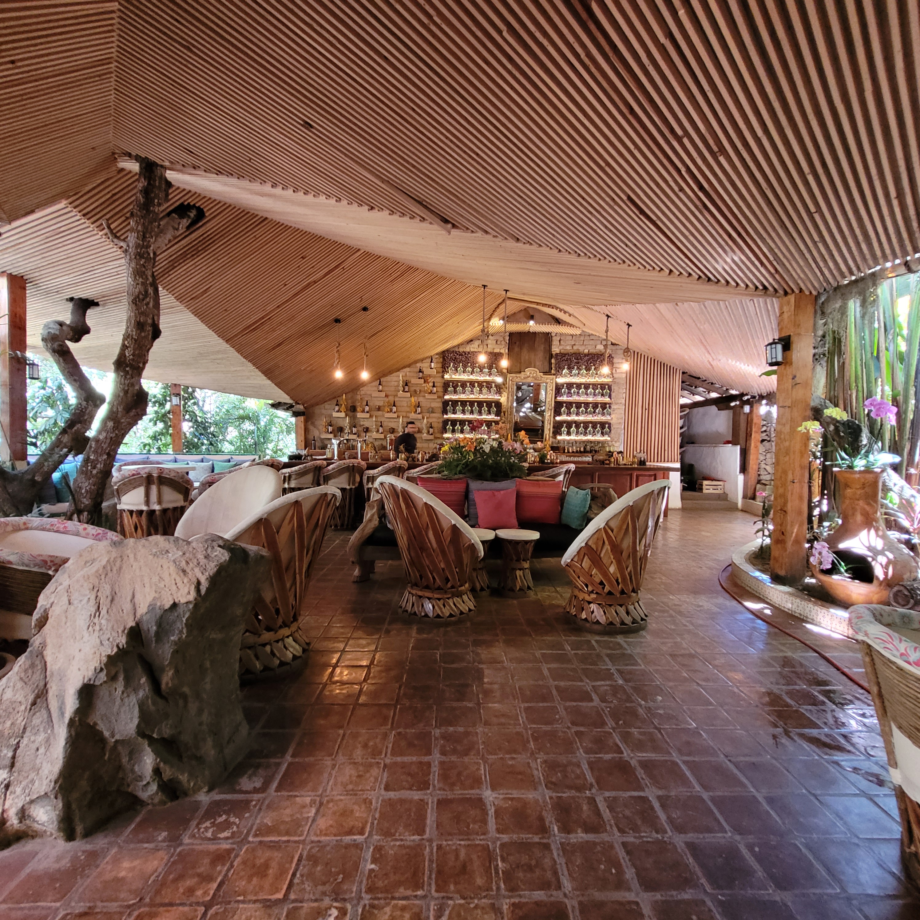 Jardin Nebulosa image 8