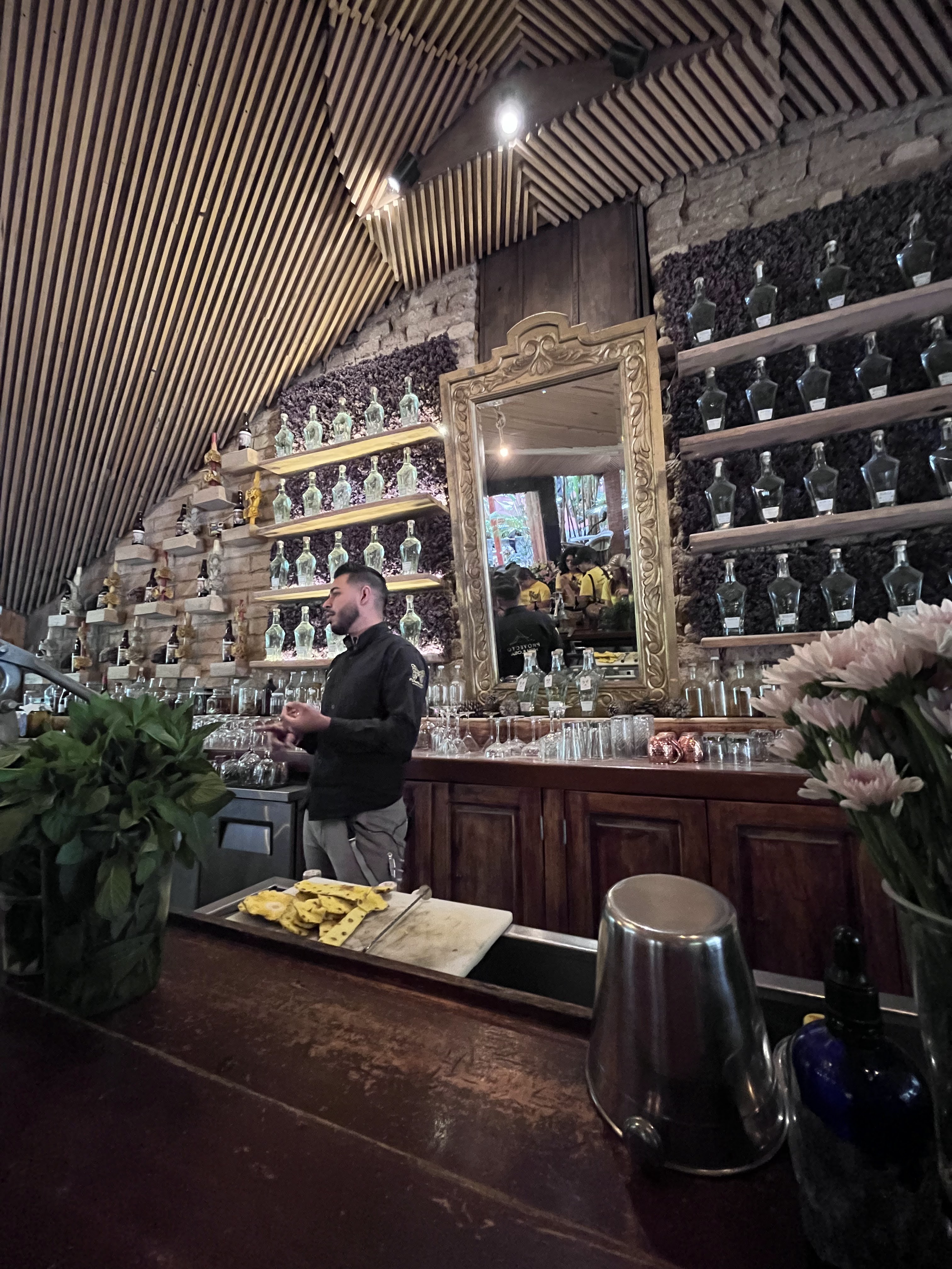 Jardin Nebulosa image 10