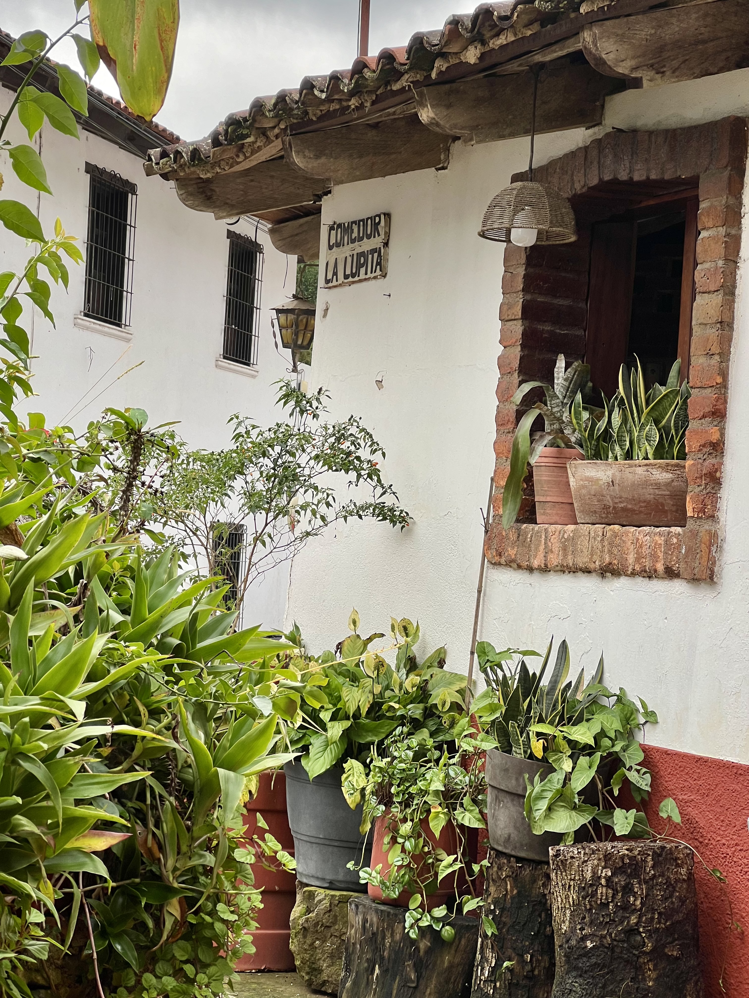 Comedor La Lupita image 7