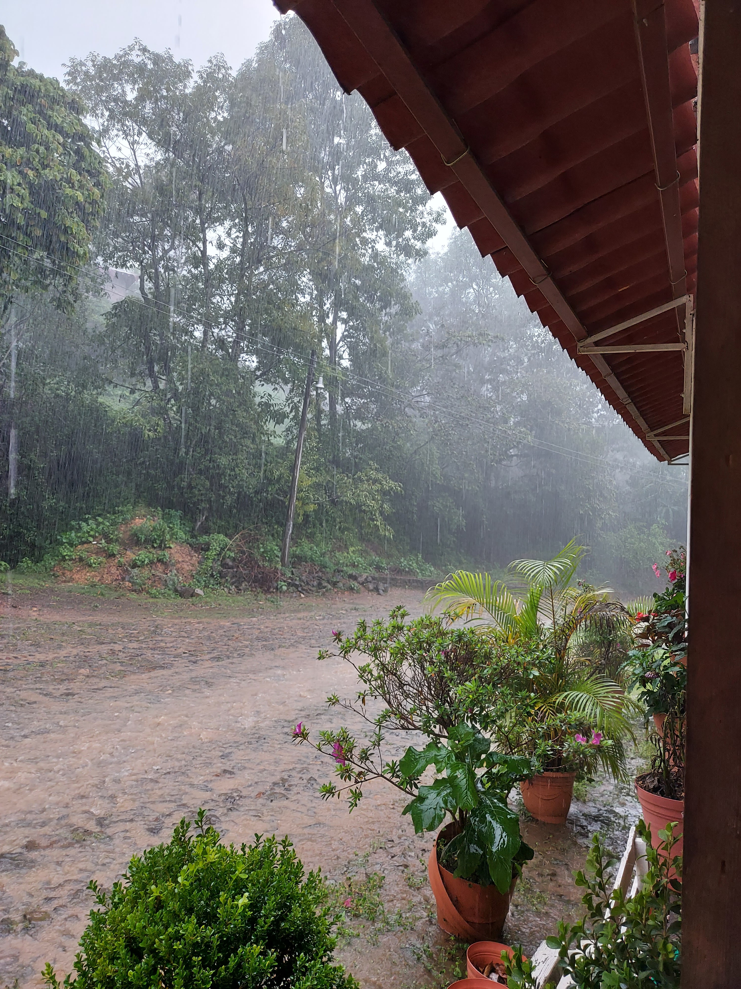 Restaurante Rosa image 7