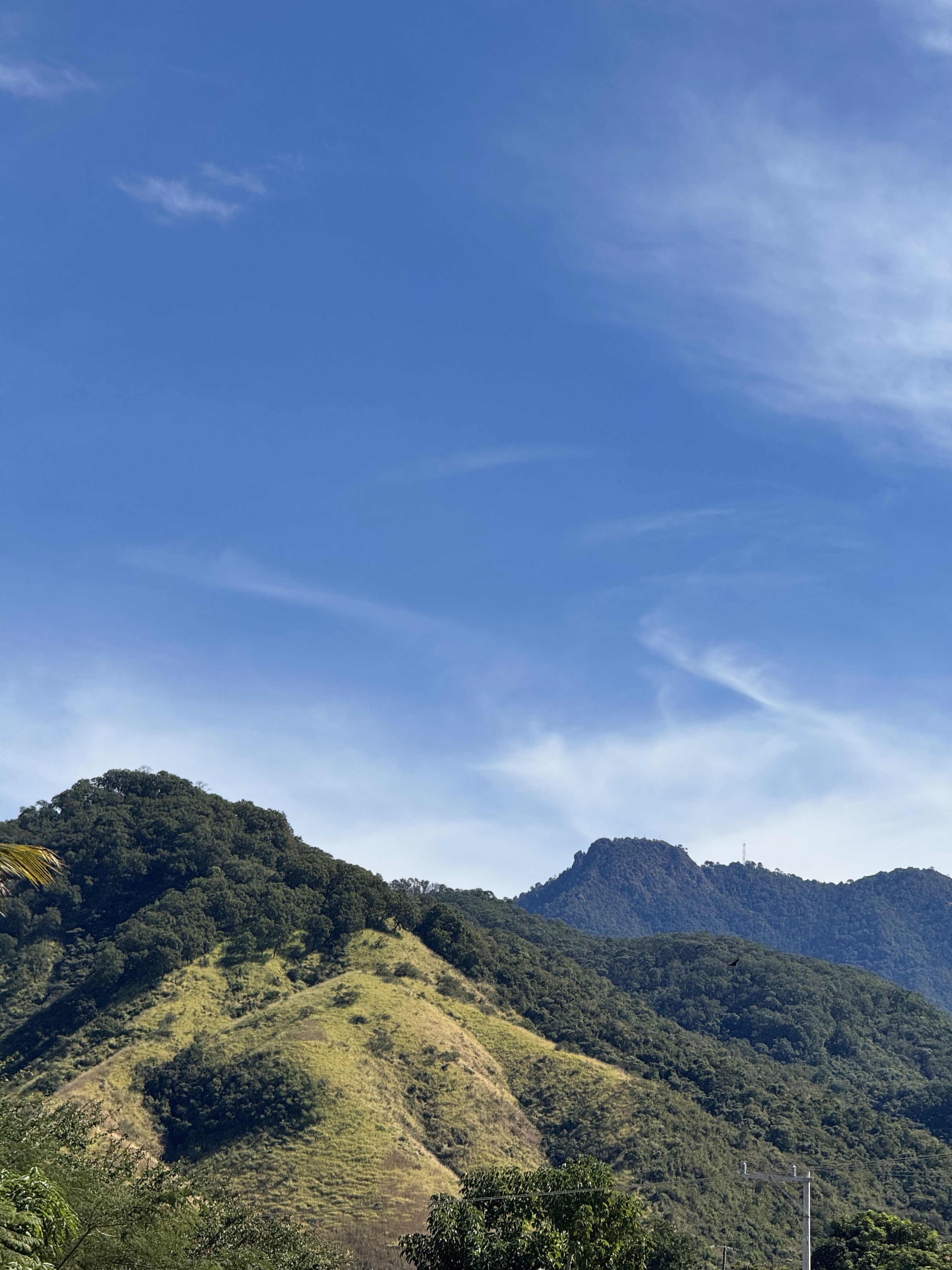 Jacalito de Peña image 9