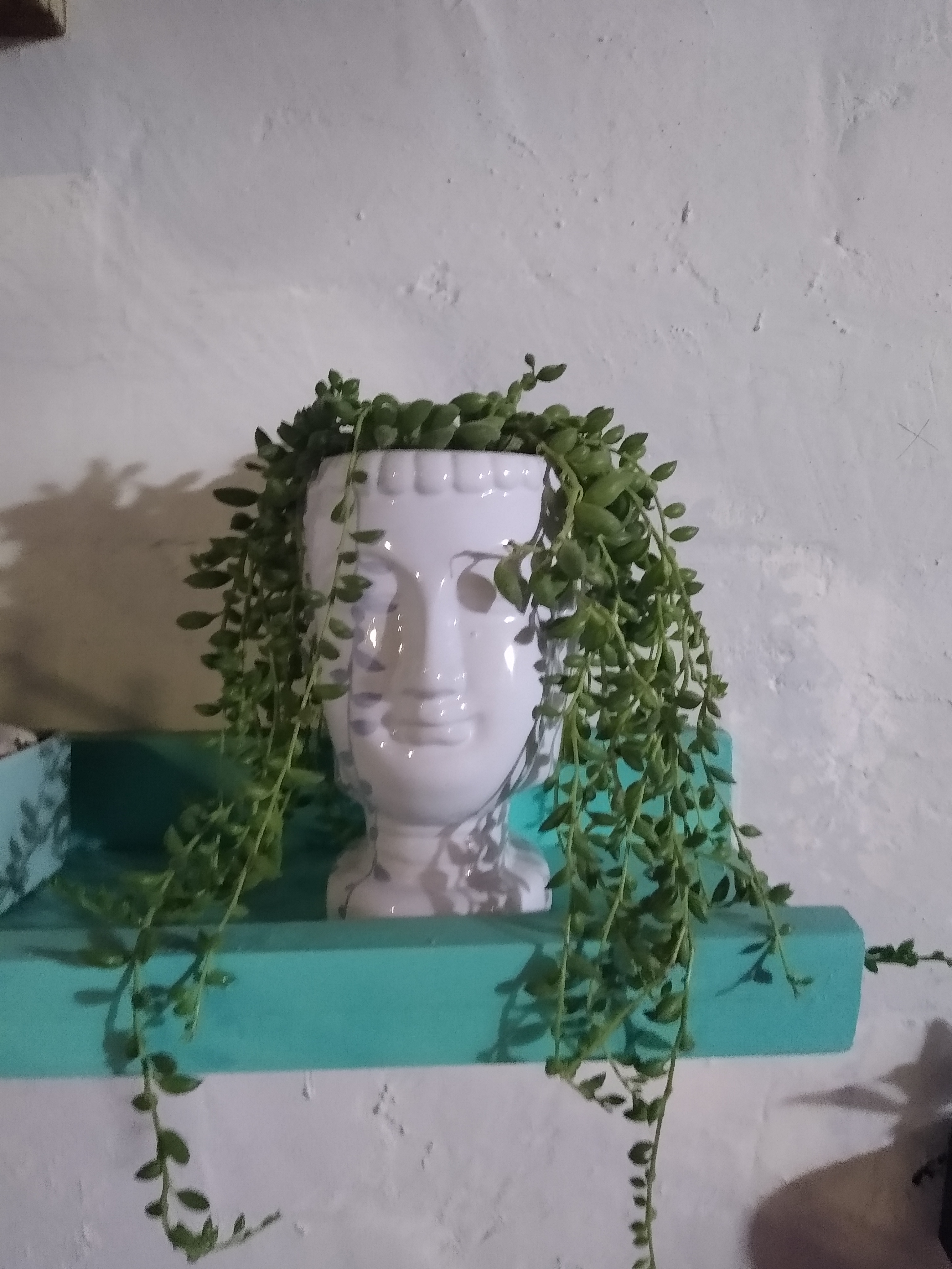 Marisquería any image 8