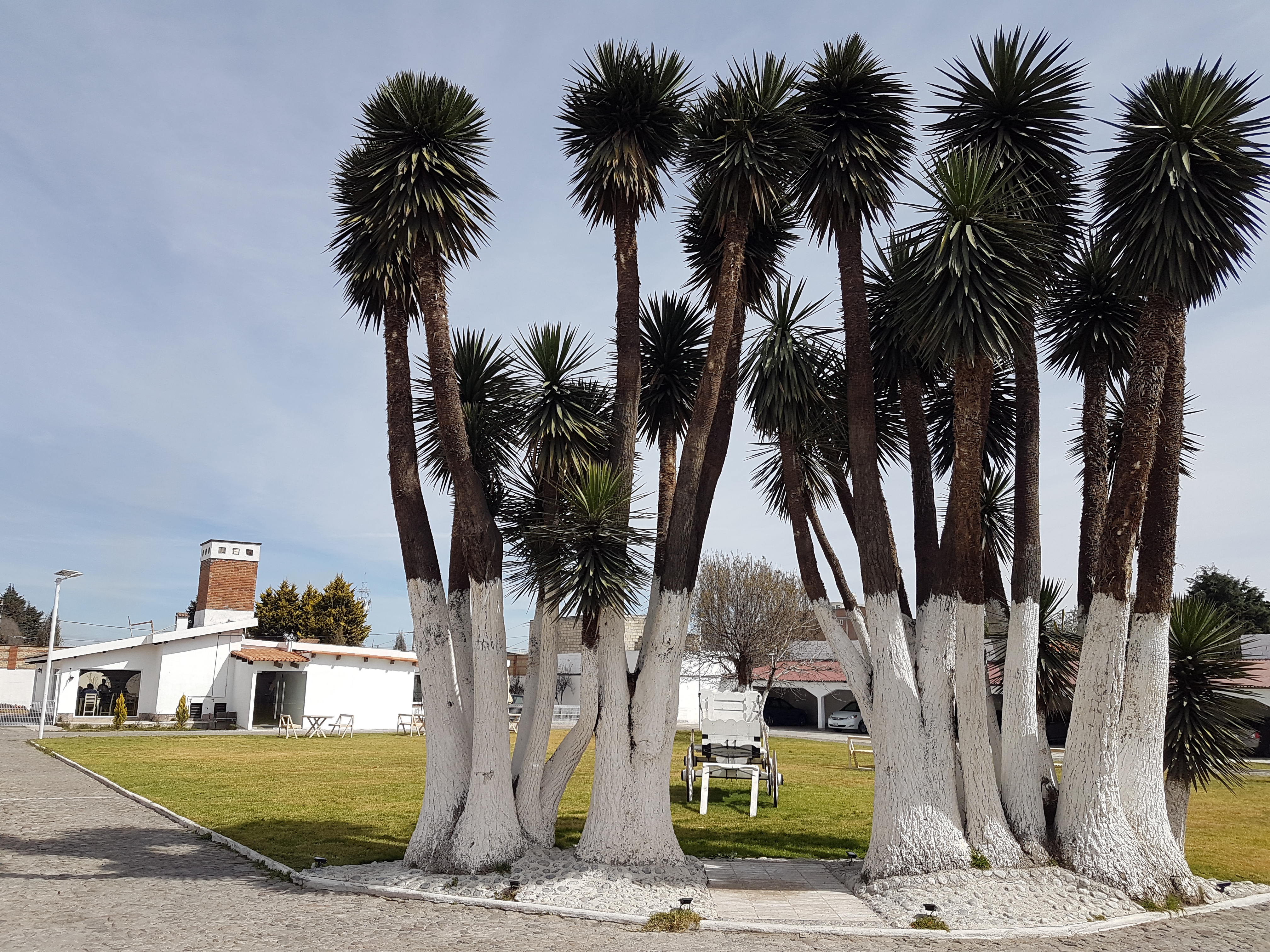 Brasa Do Rio image 6
