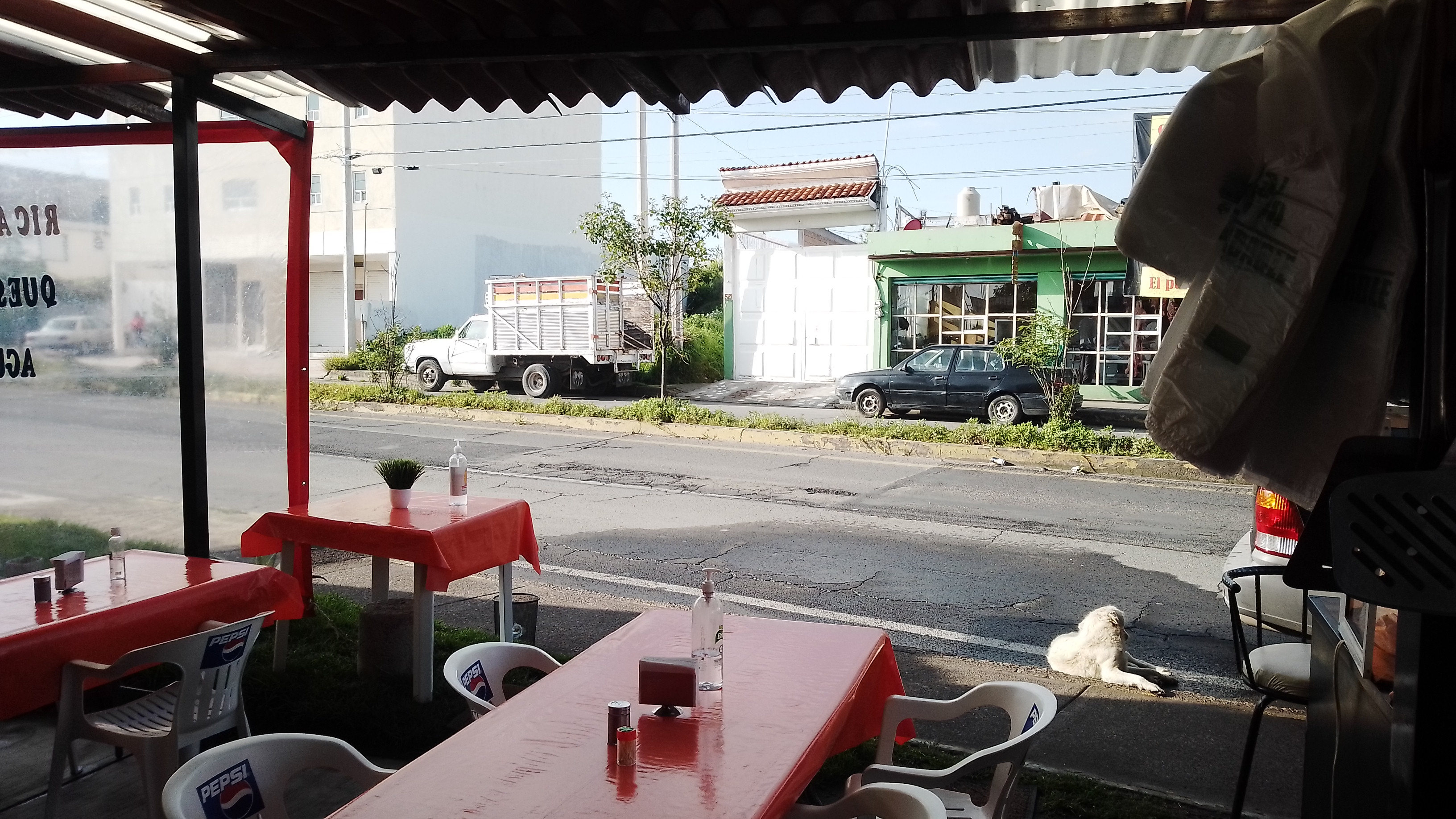 Barbacoa Alex image 5