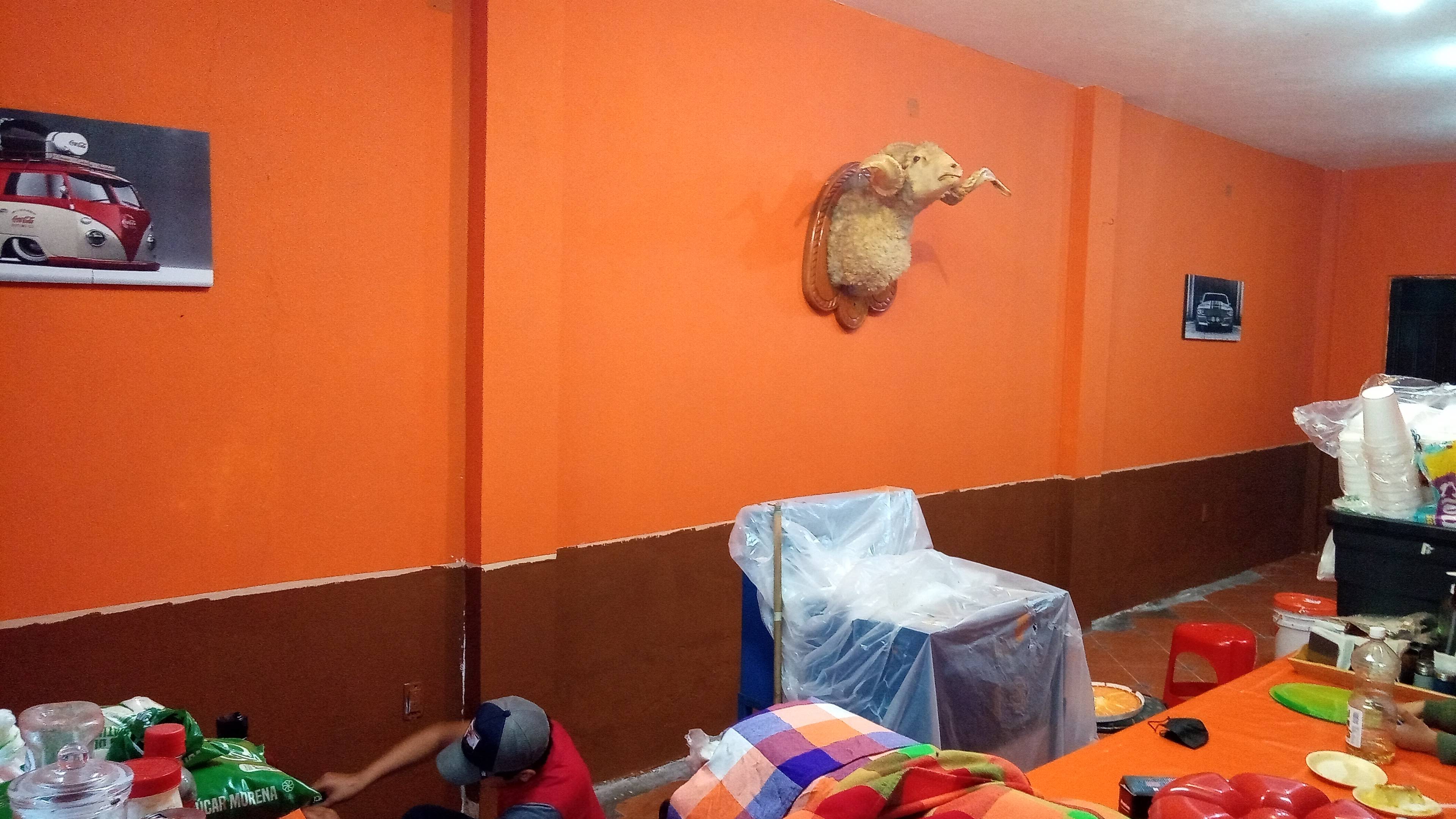 Barbacoa Alex image 8