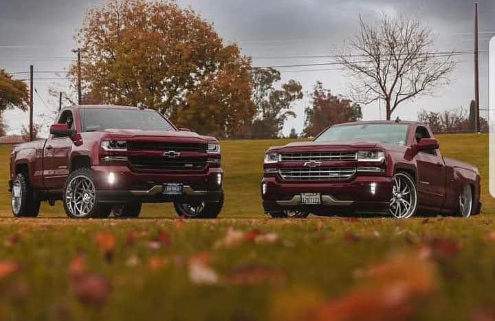 Rodeo Cruzeli's image 7