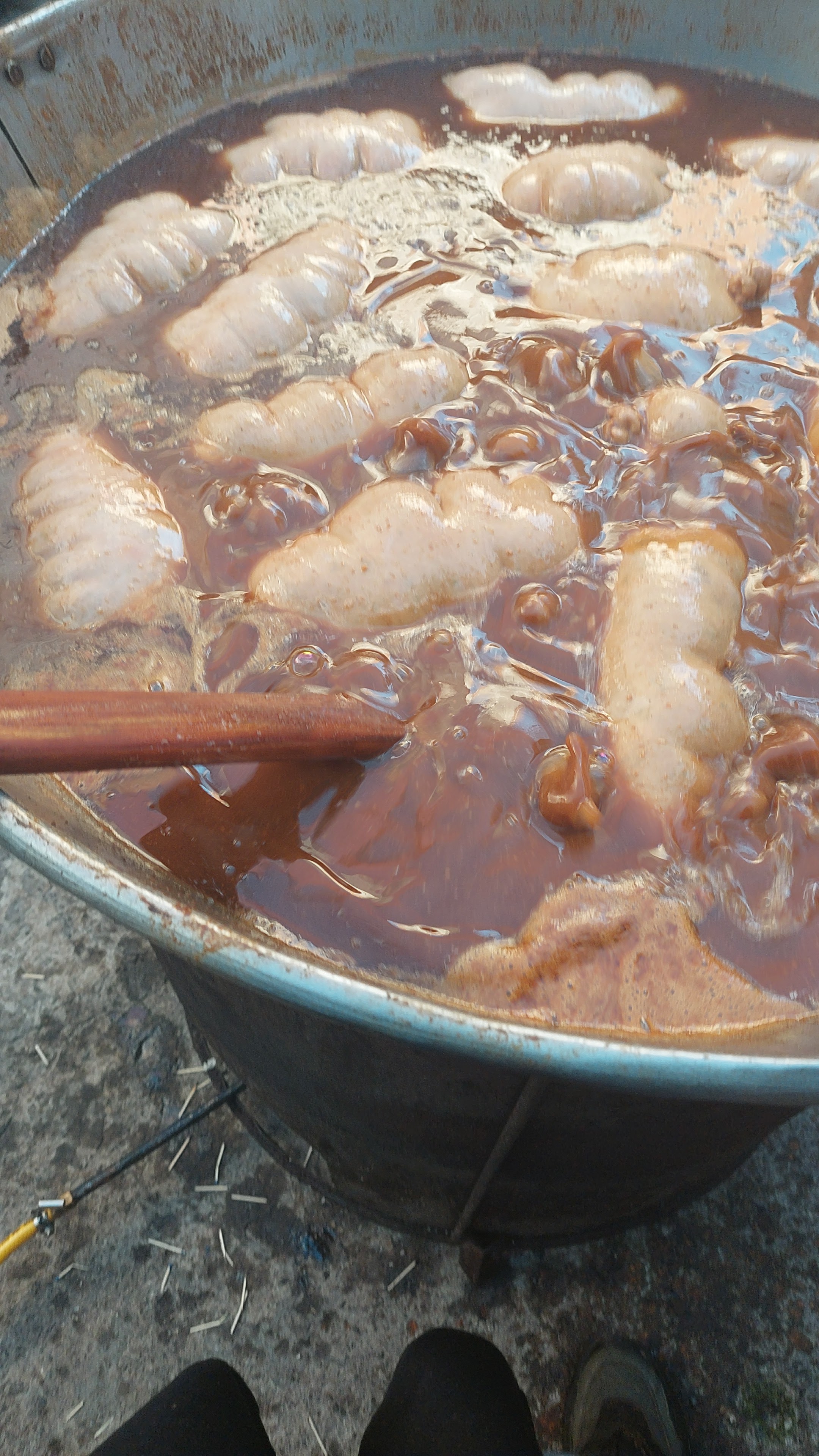 Taquería Las Mexicanas image 8