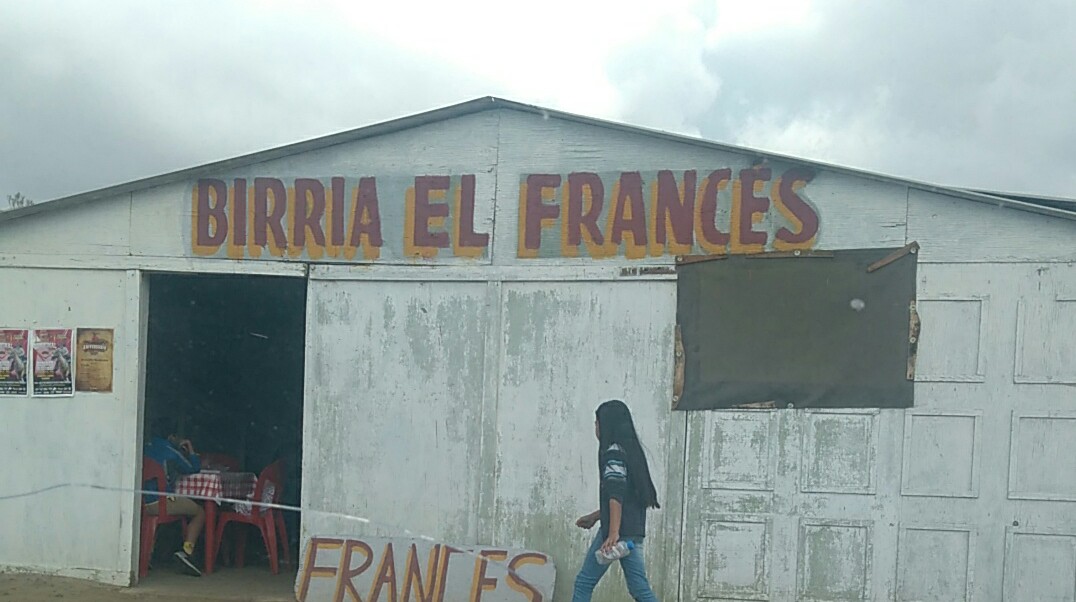 Tacos de Birria El Francés image 4