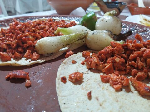 Doña Chabe image 5