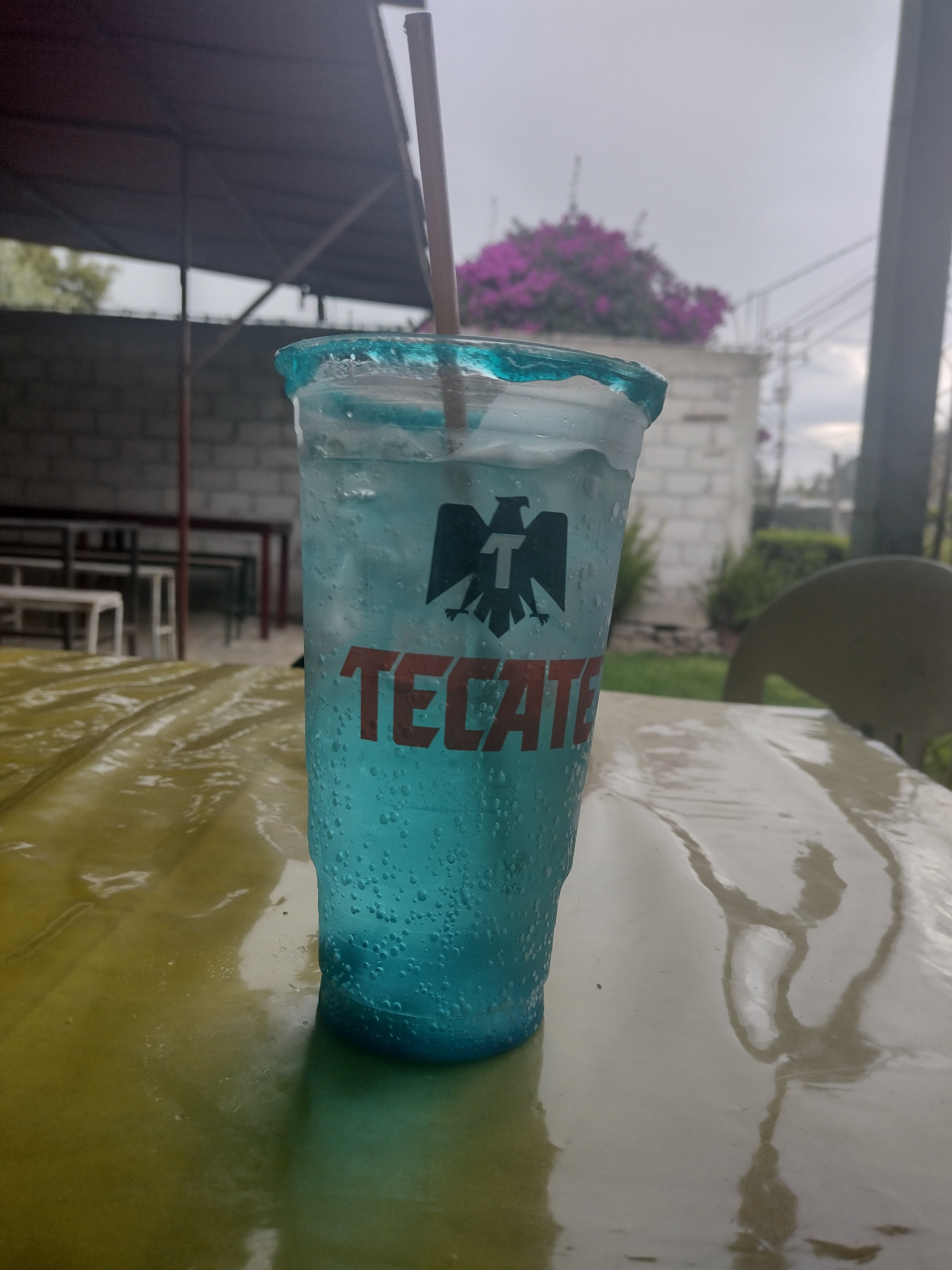 Carnitas Ariza image 2