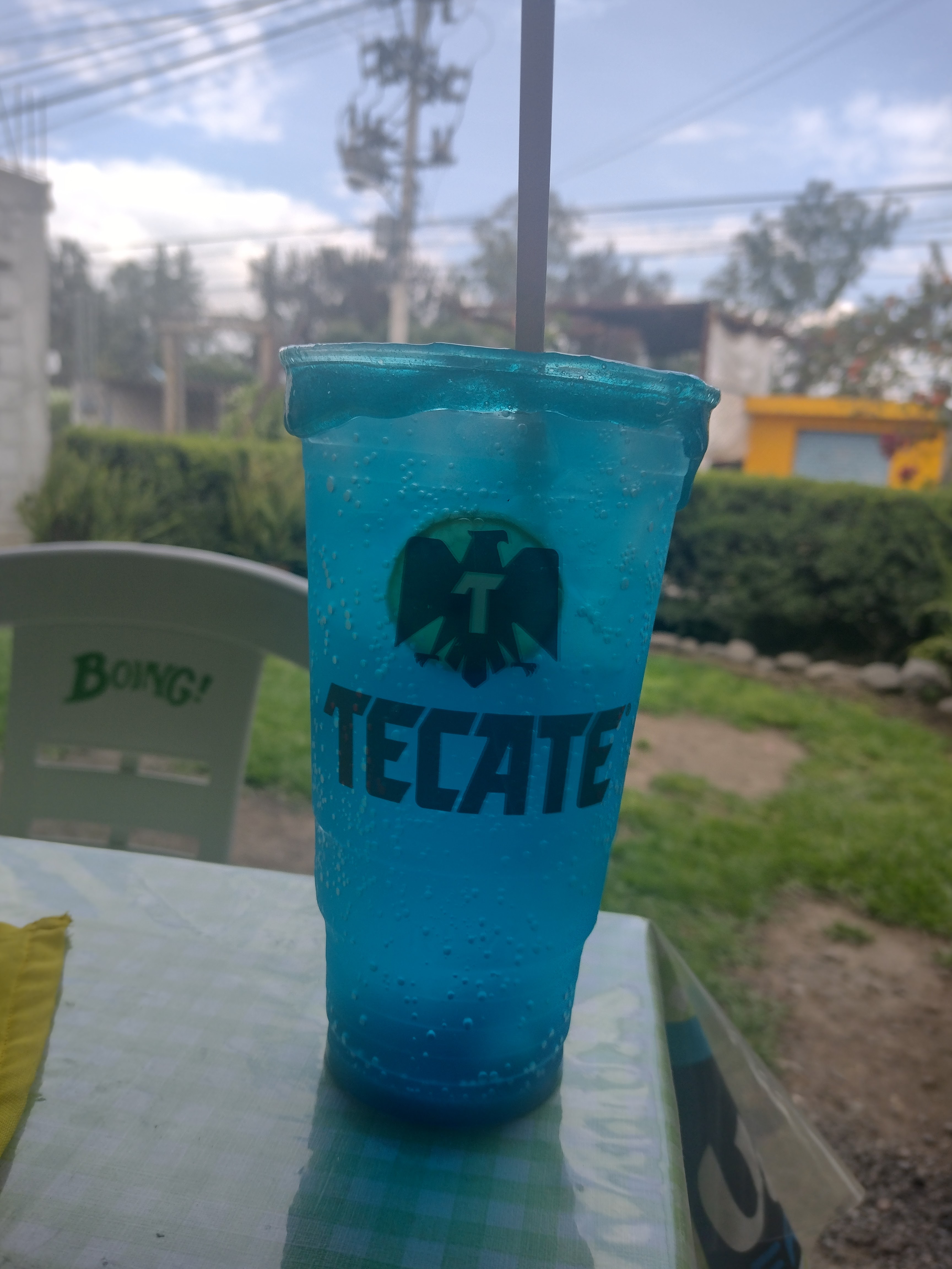 Carnitas Ariza image 7