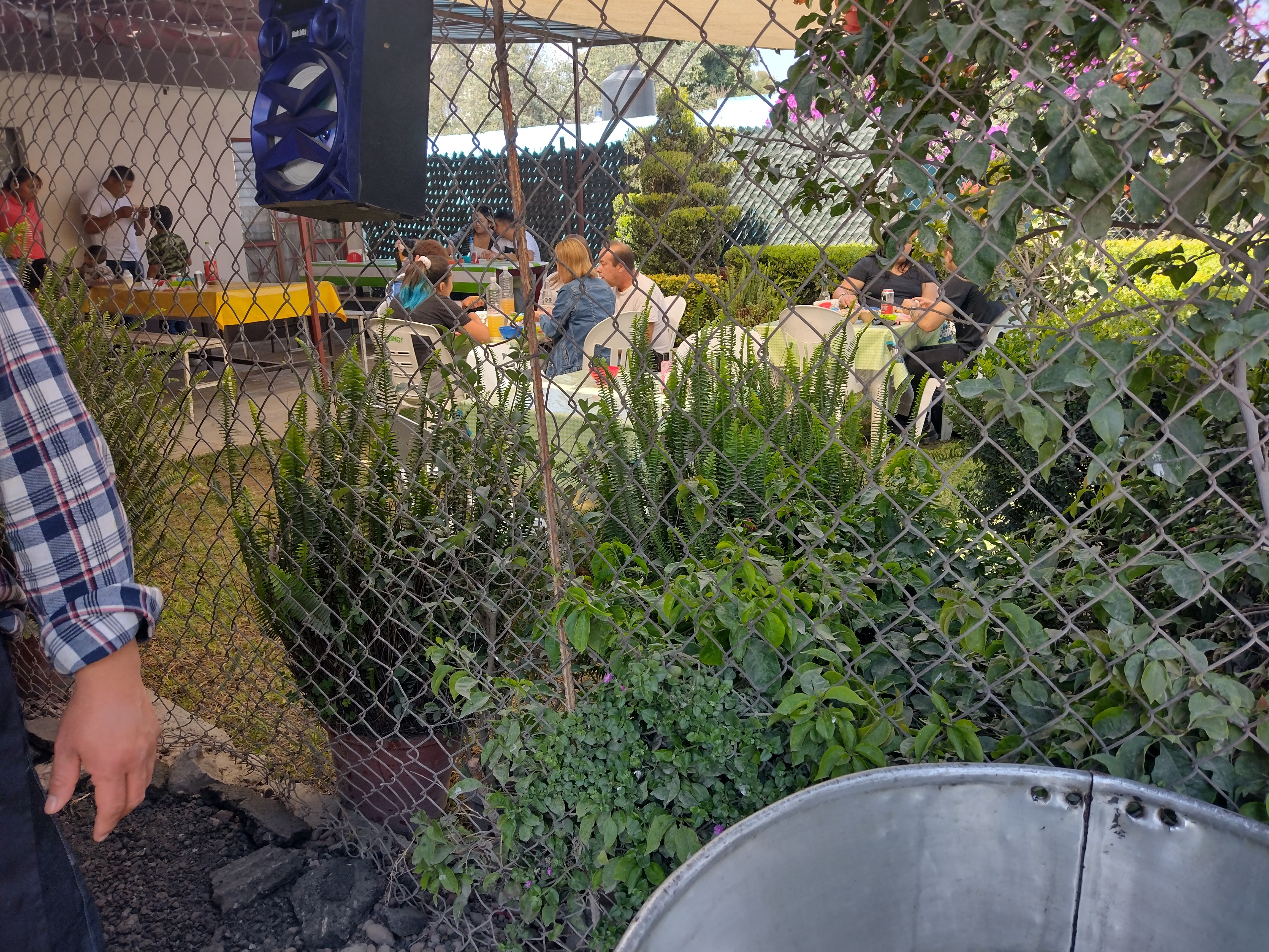 Carnitas Ariza image 9